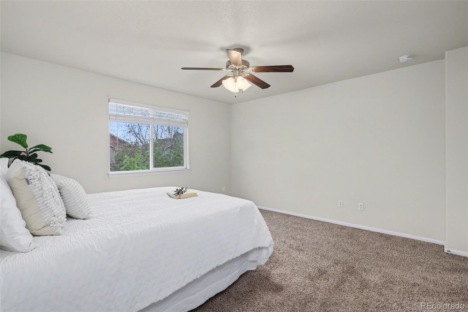 MLS Image #18 for 2465  sierra springs drive,colorado springs, Colorado