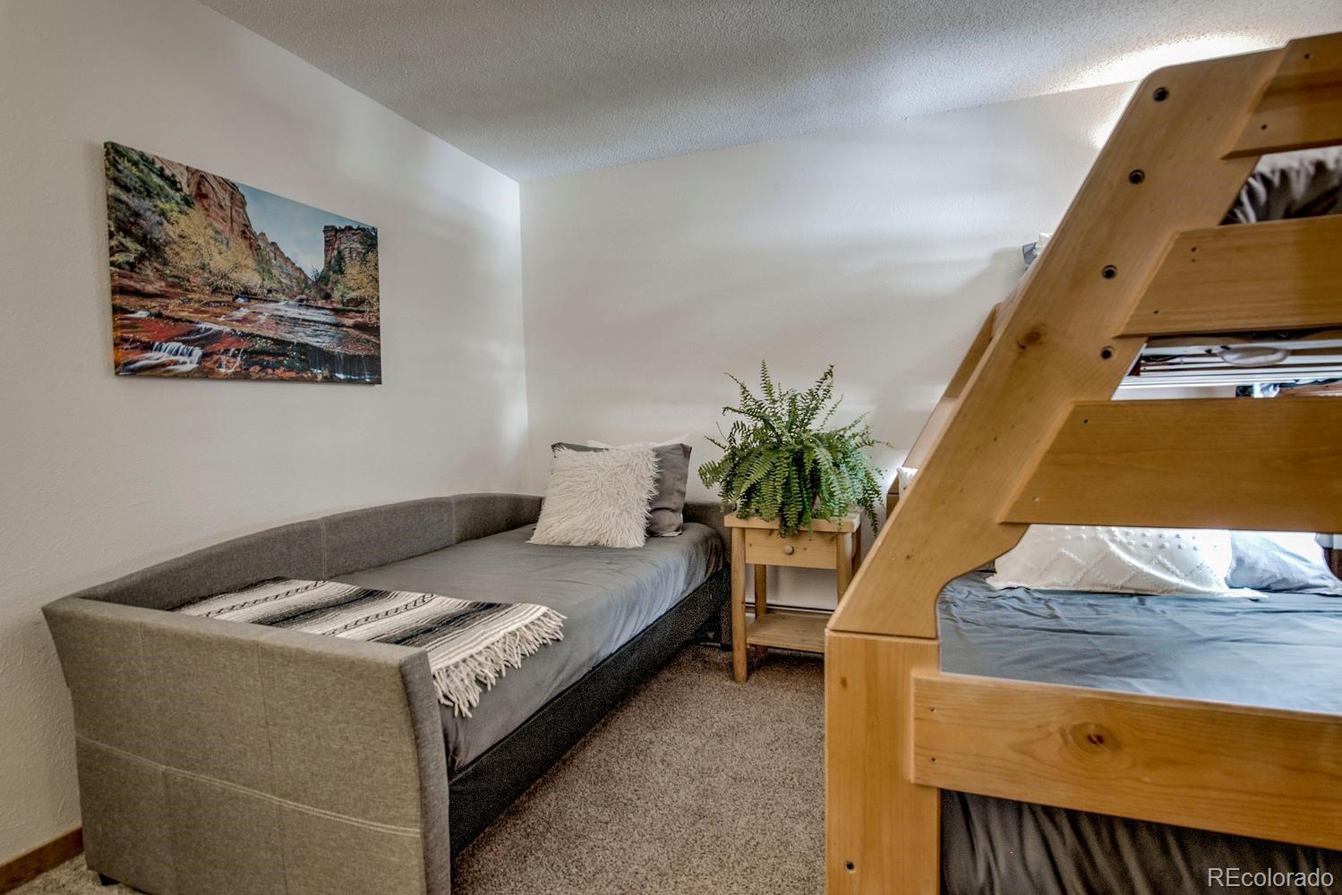 MLS Image #17 for 1075  ski hill road,breckenridge, Colorado