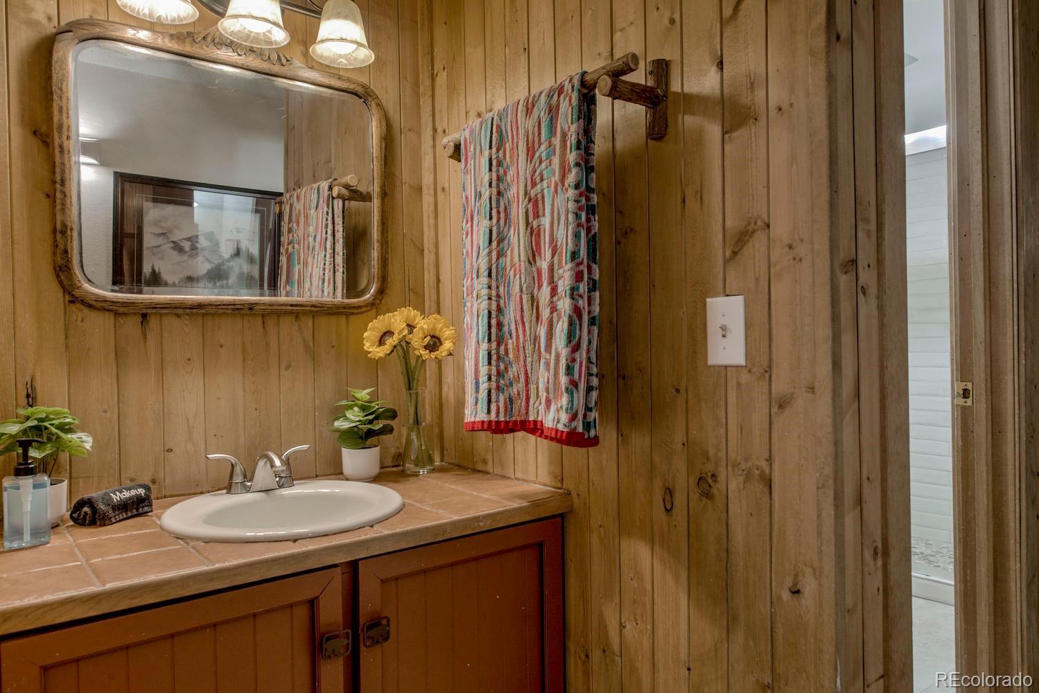 MLS Image #19 for 1075  ski hill road,breckenridge, Colorado