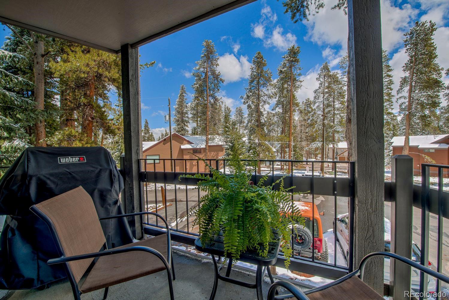 MLS Image #21 for 1075  ski hill road,breckenridge, Colorado