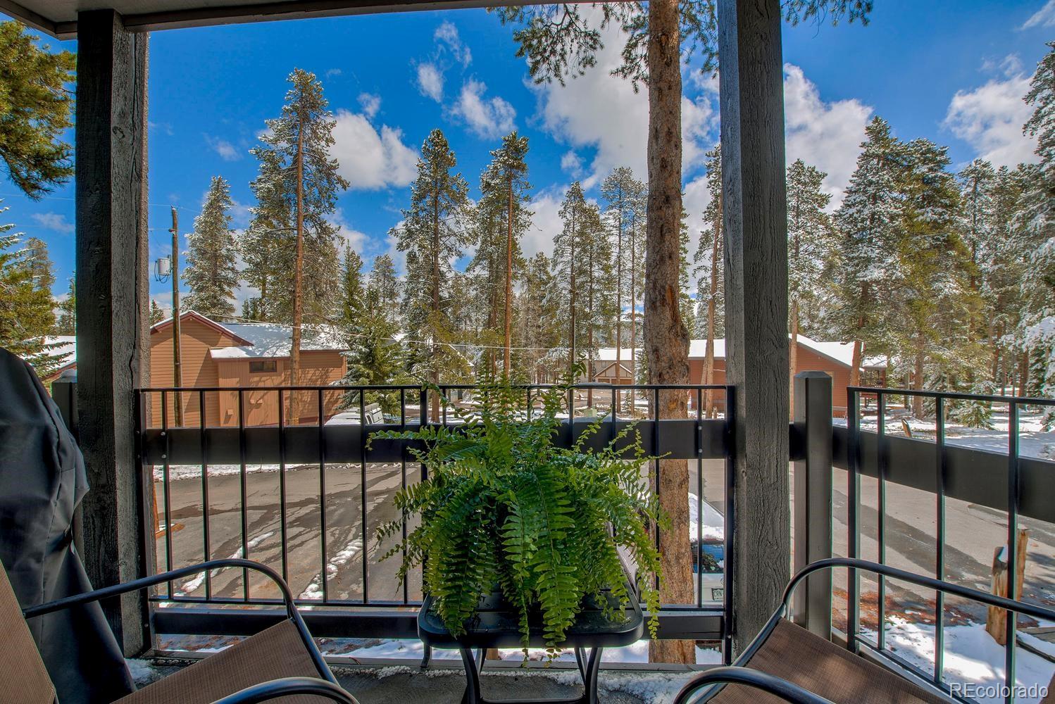 MLS Image #22 for 1075  ski hill road,breckenridge, Colorado