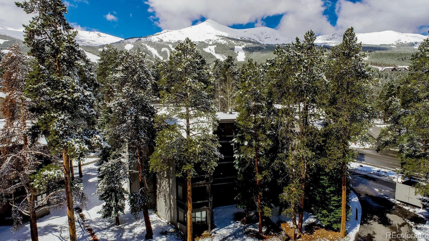 MLS Image #28 for 1075  ski hill road,breckenridge, Colorado