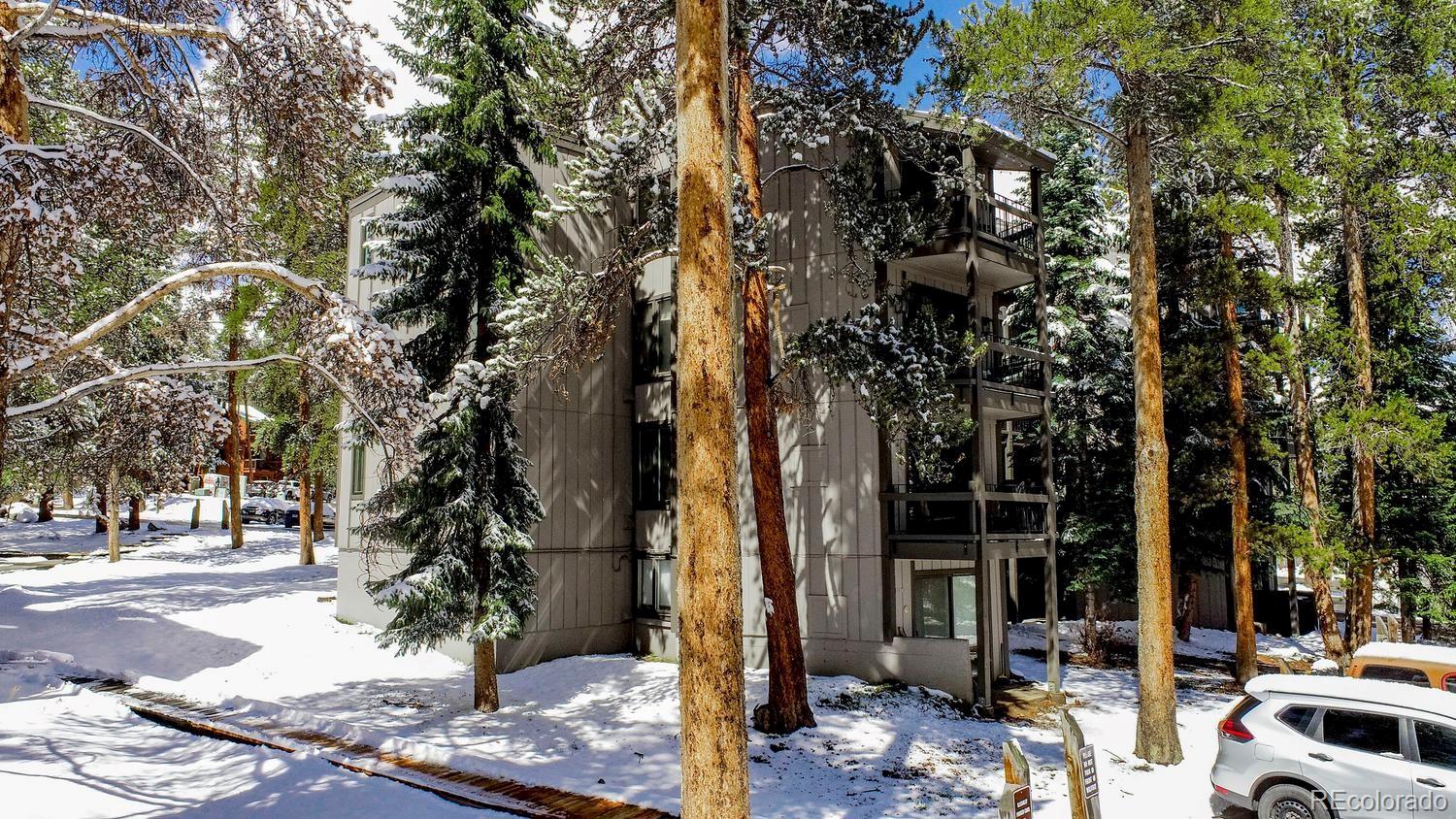 MLS Image #39 for 1075  ski hill road,breckenridge, Colorado