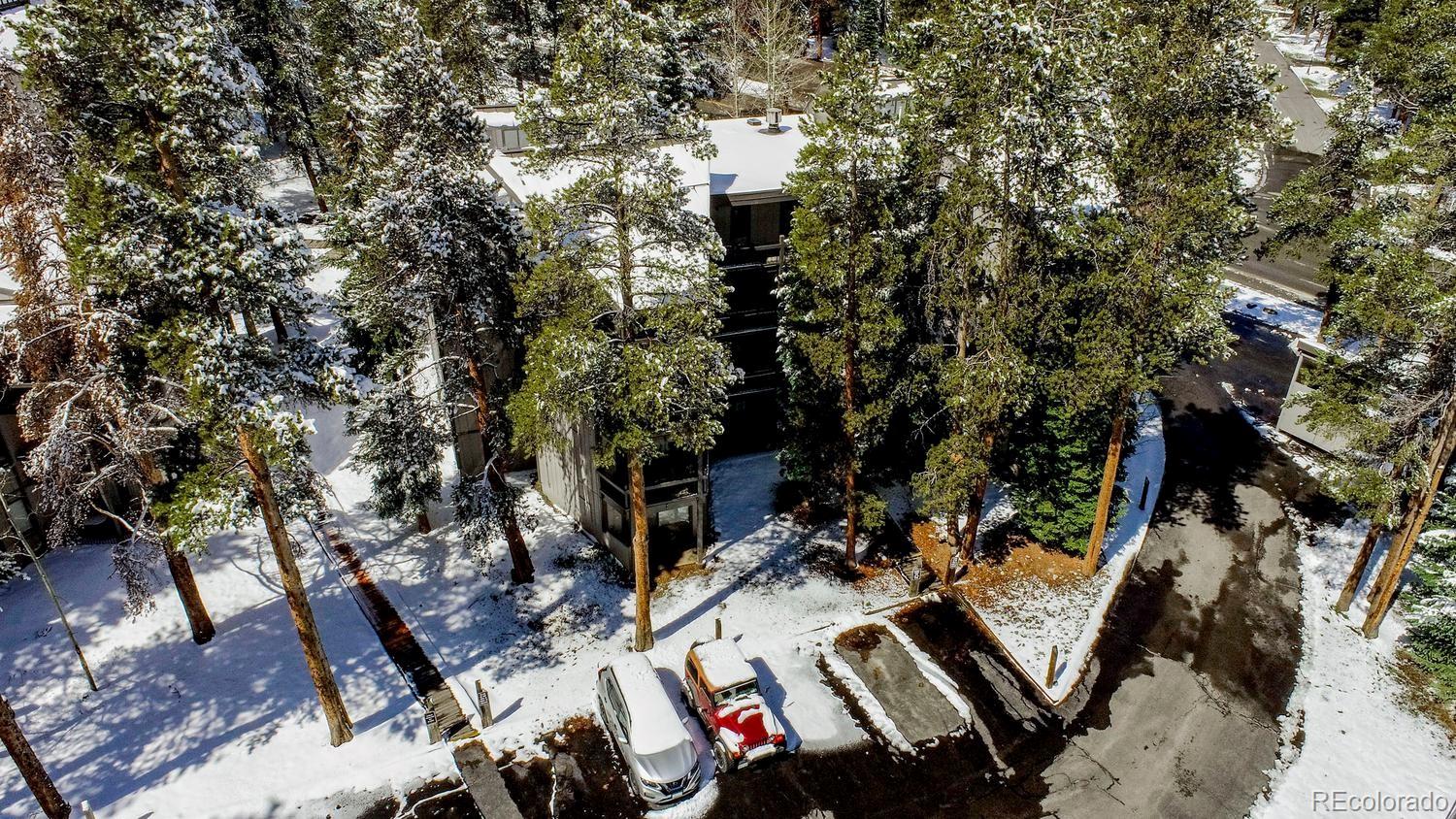 MLS Image #40 for 1075  ski hill road,breckenridge, Colorado