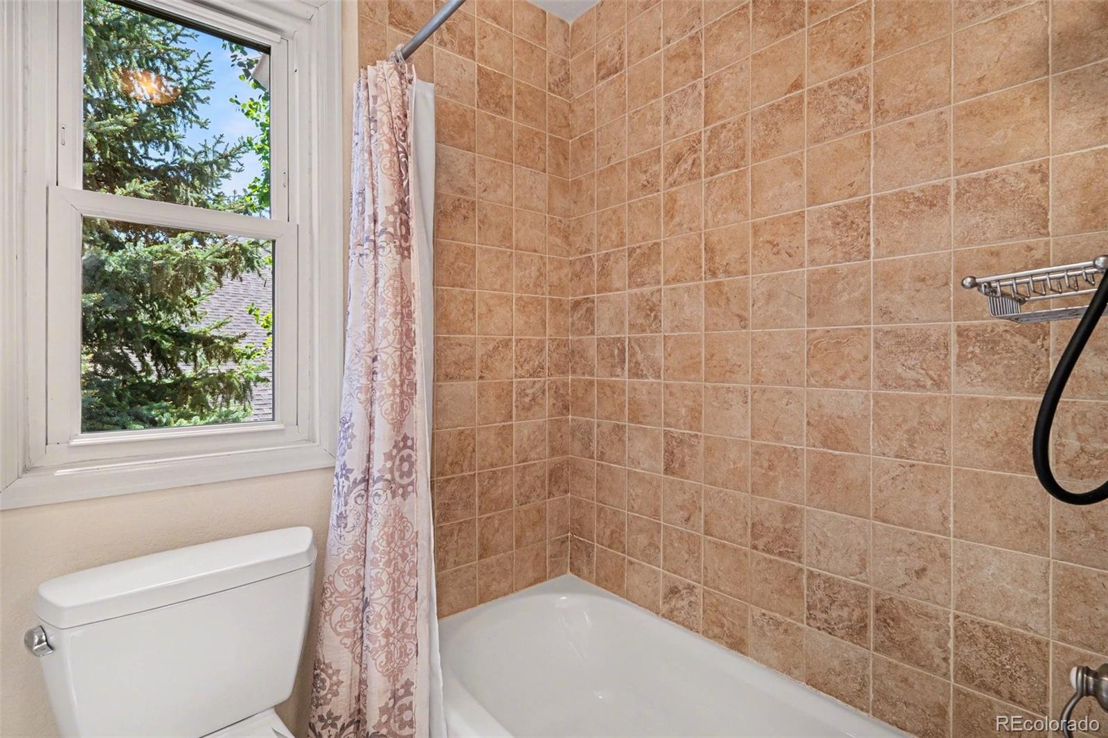 MLS Image #29 for 10085  cottoncreek drive,highlands ranch, Colorado