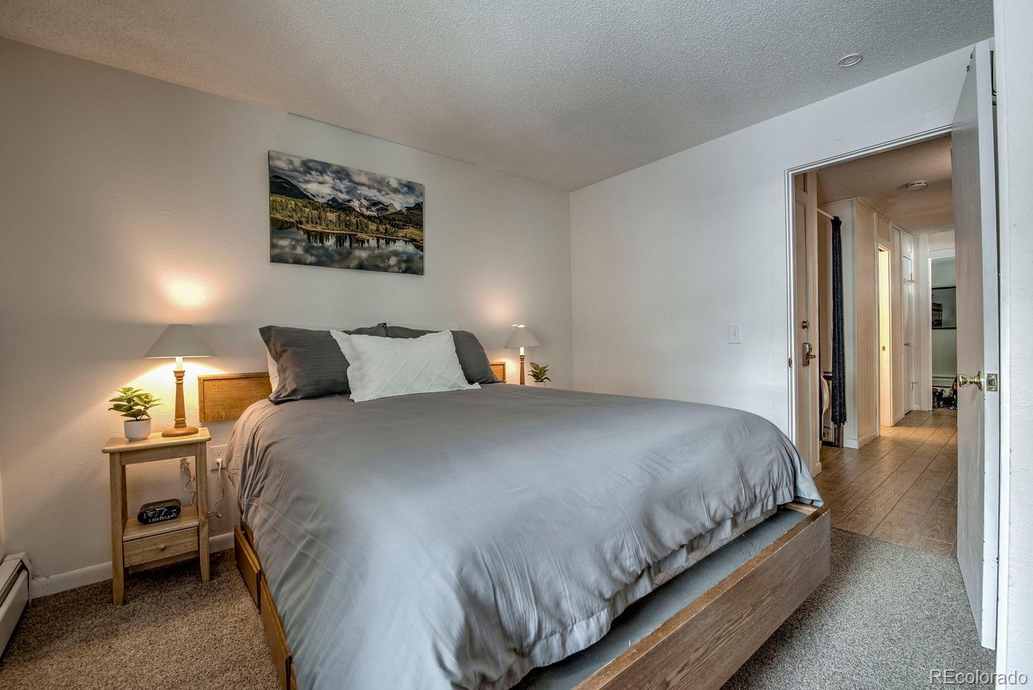 MLS Image #12 for 1105  ski hill road,breckenridge, Colorado