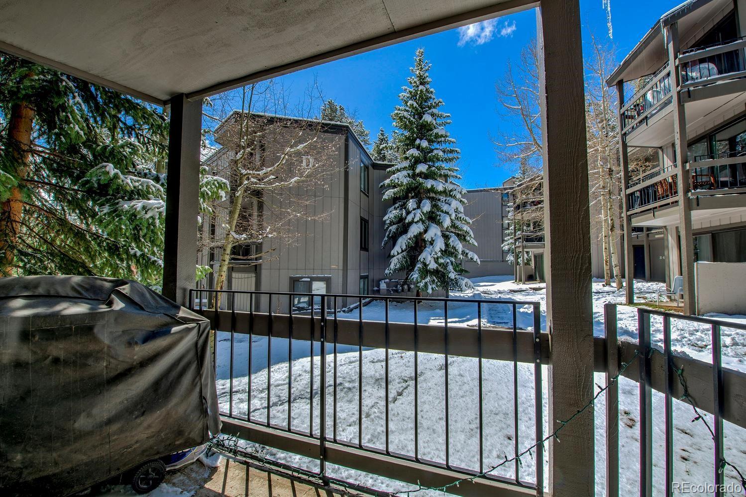 MLS Image #20 for 1105  ski hill road,breckenridge, Colorado