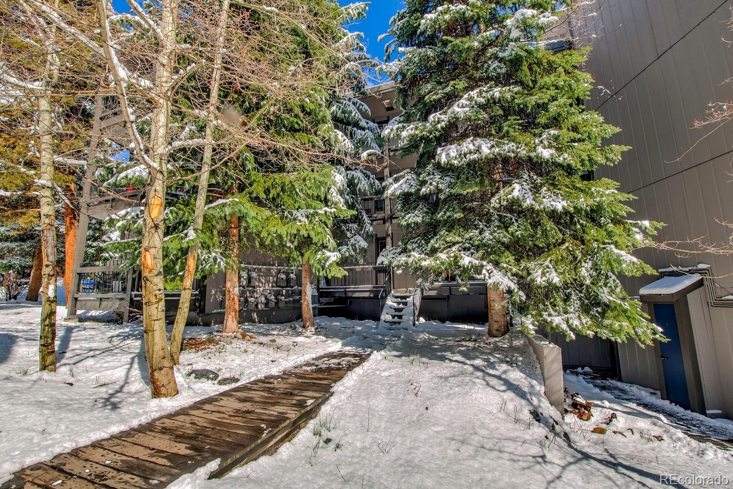 MLS Image #22 for 1105  ski hill road,breckenridge, Colorado