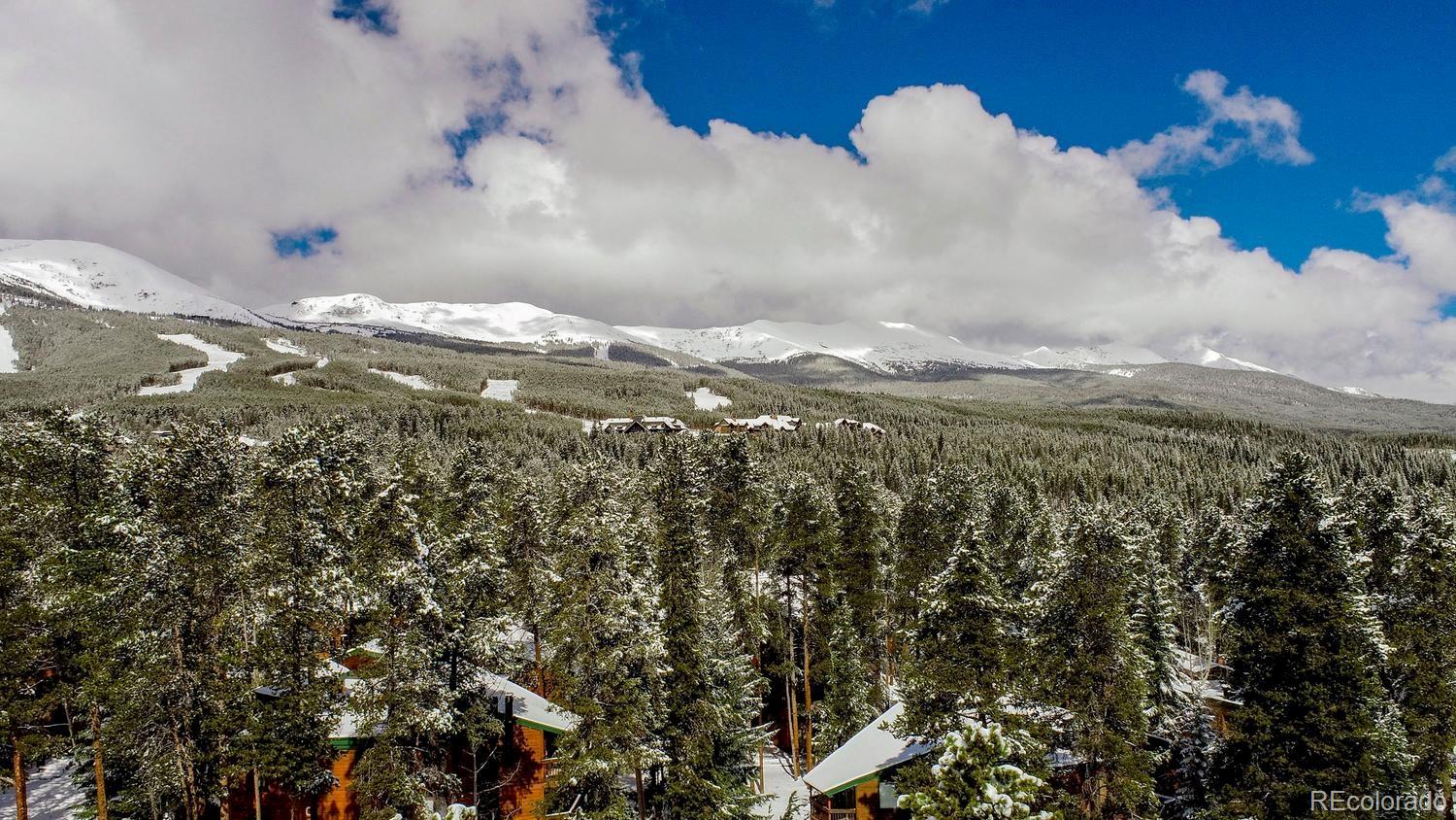 MLS Image #27 for 1105  ski hill road,breckenridge, Colorado