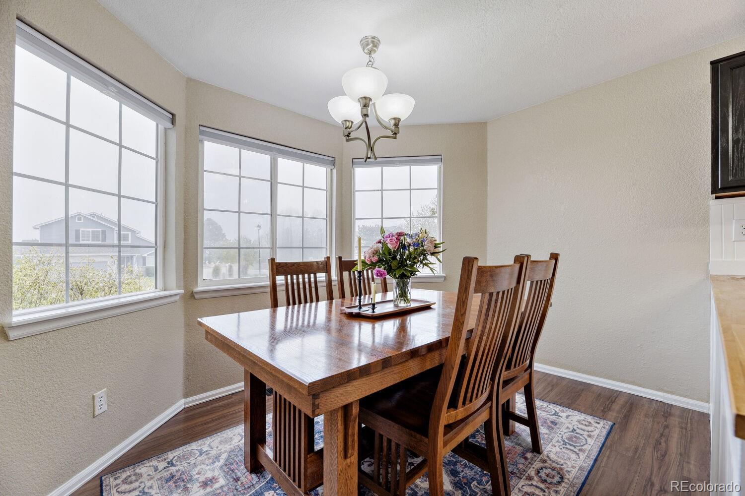 MLS Image #8 for 11120  tamarron drive,parker, Colorado