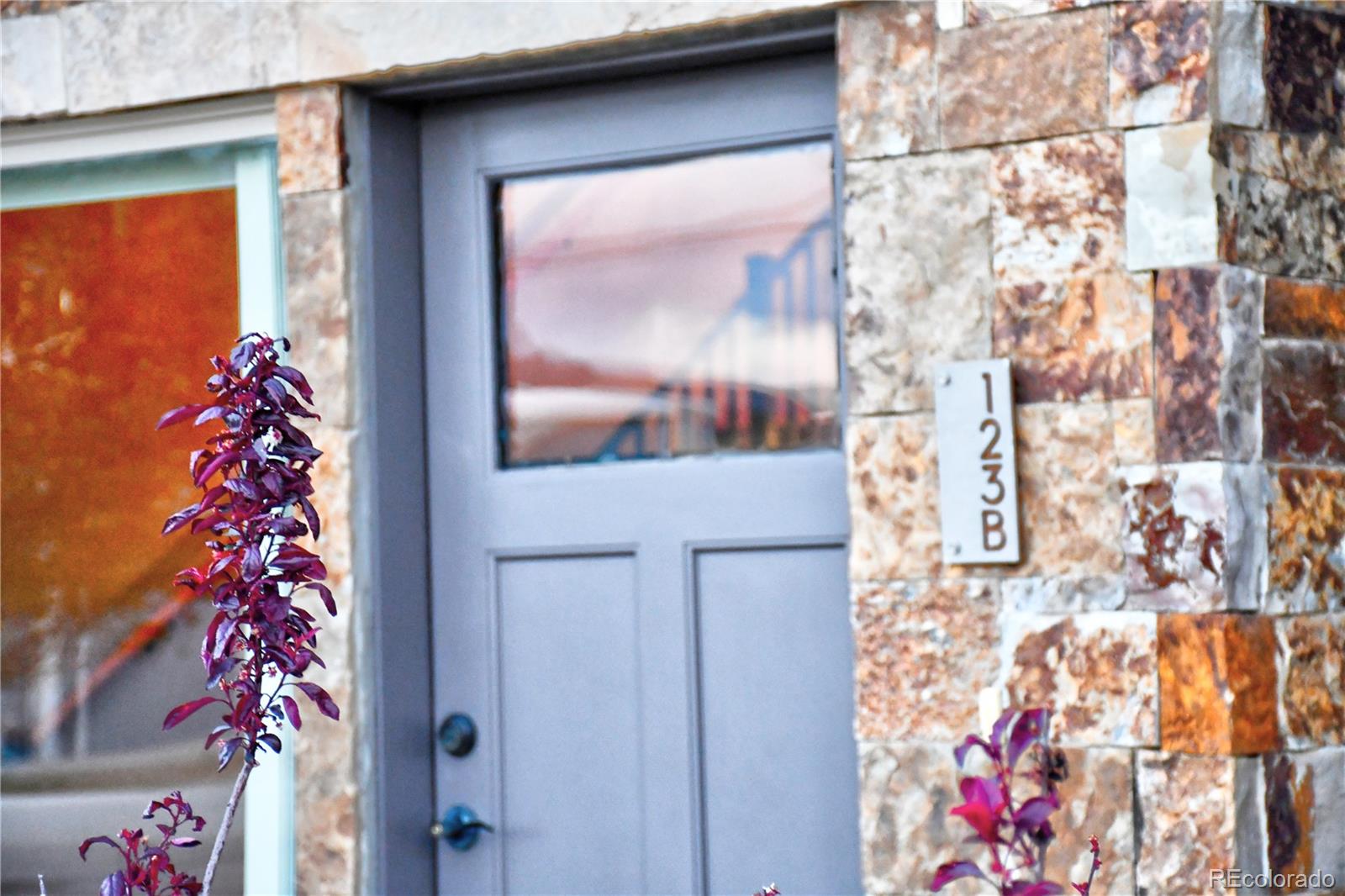 MLS Image #2 for 123  halley's avenue,poncha springs, Colorado