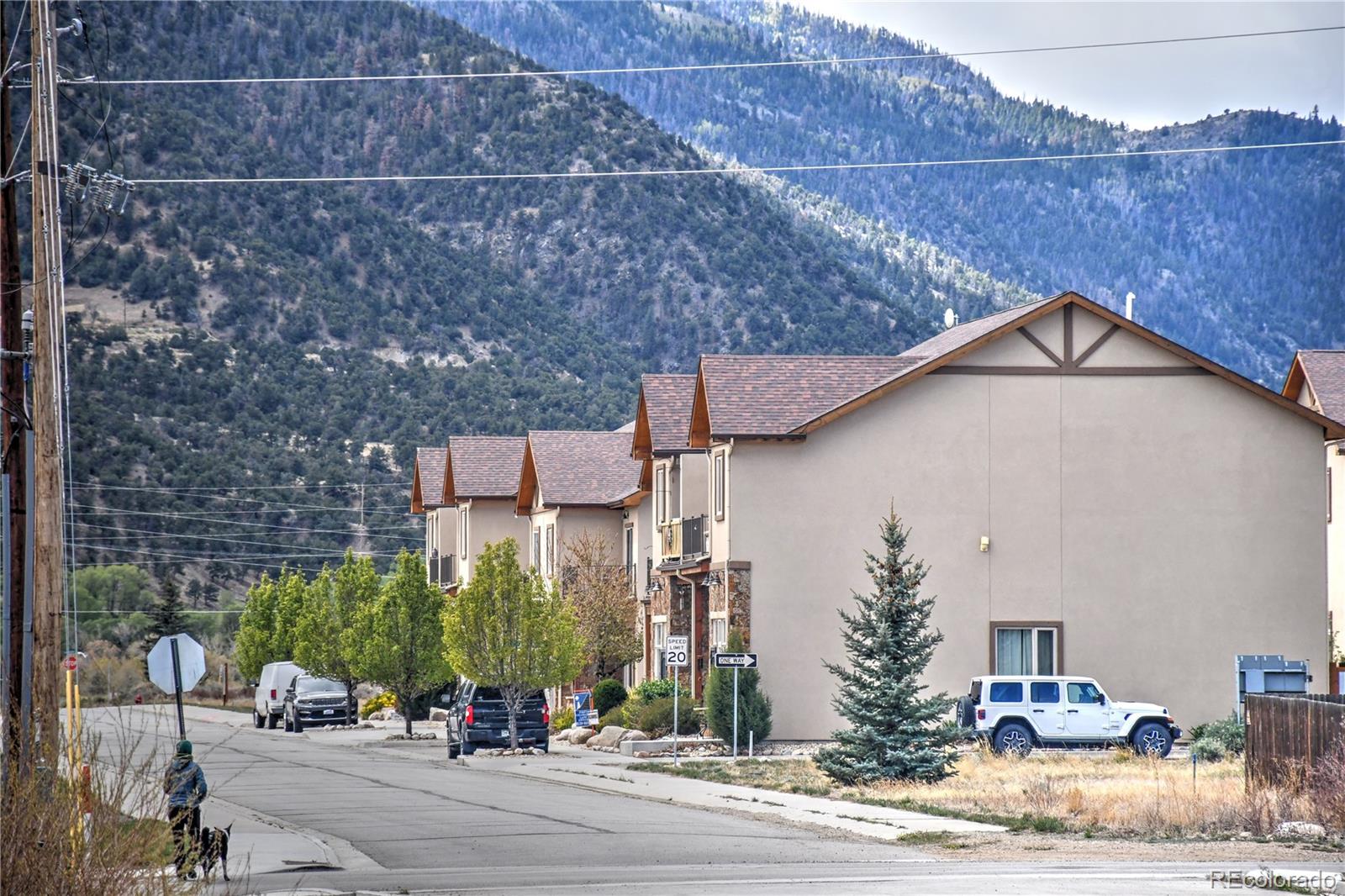 MLS Image #3 for 123  halley's avenue,poncha springs, Colorado