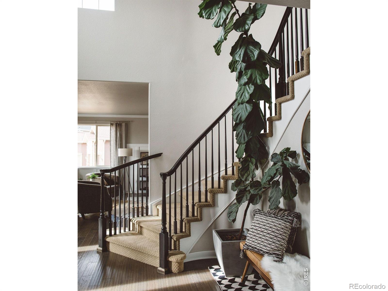 MLS Image #37 for 6203  swainsons hawk place,fort collins, Colorado