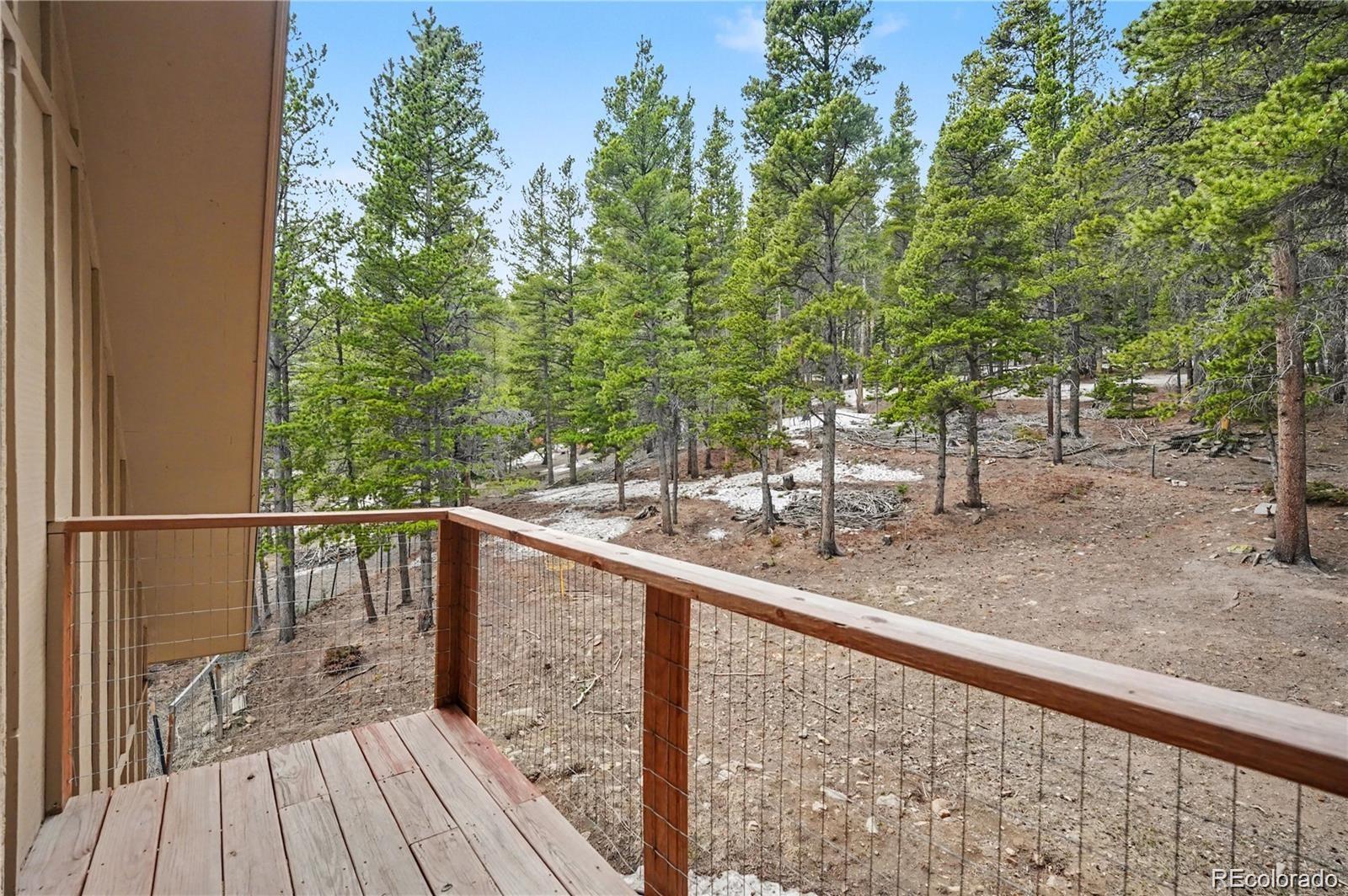 MLS Image #15 for 201  silver creek road,idaho springs, Colorado