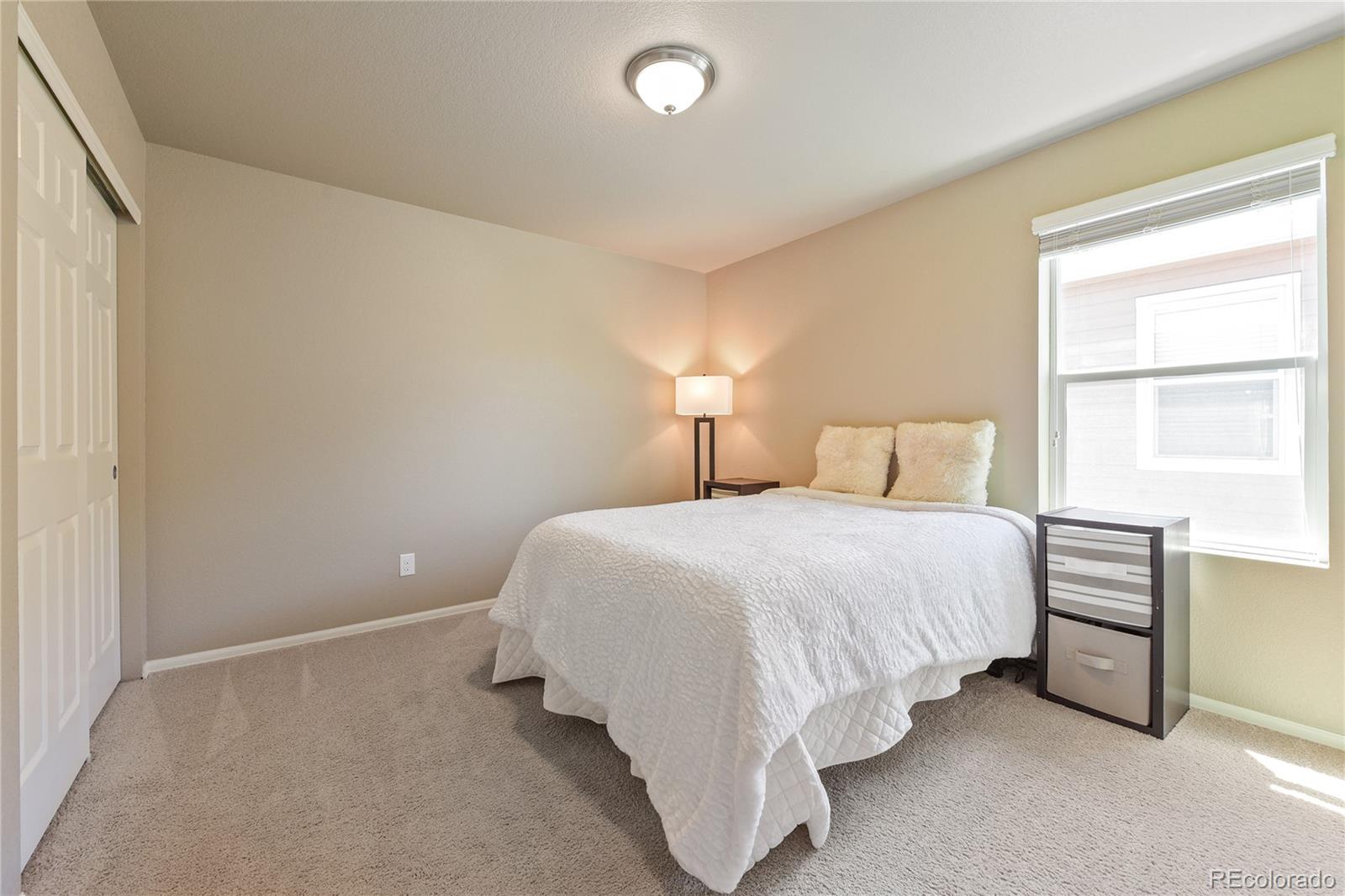 MLS Image #17 for 5738  echo park circle,castle rock, Colorado
