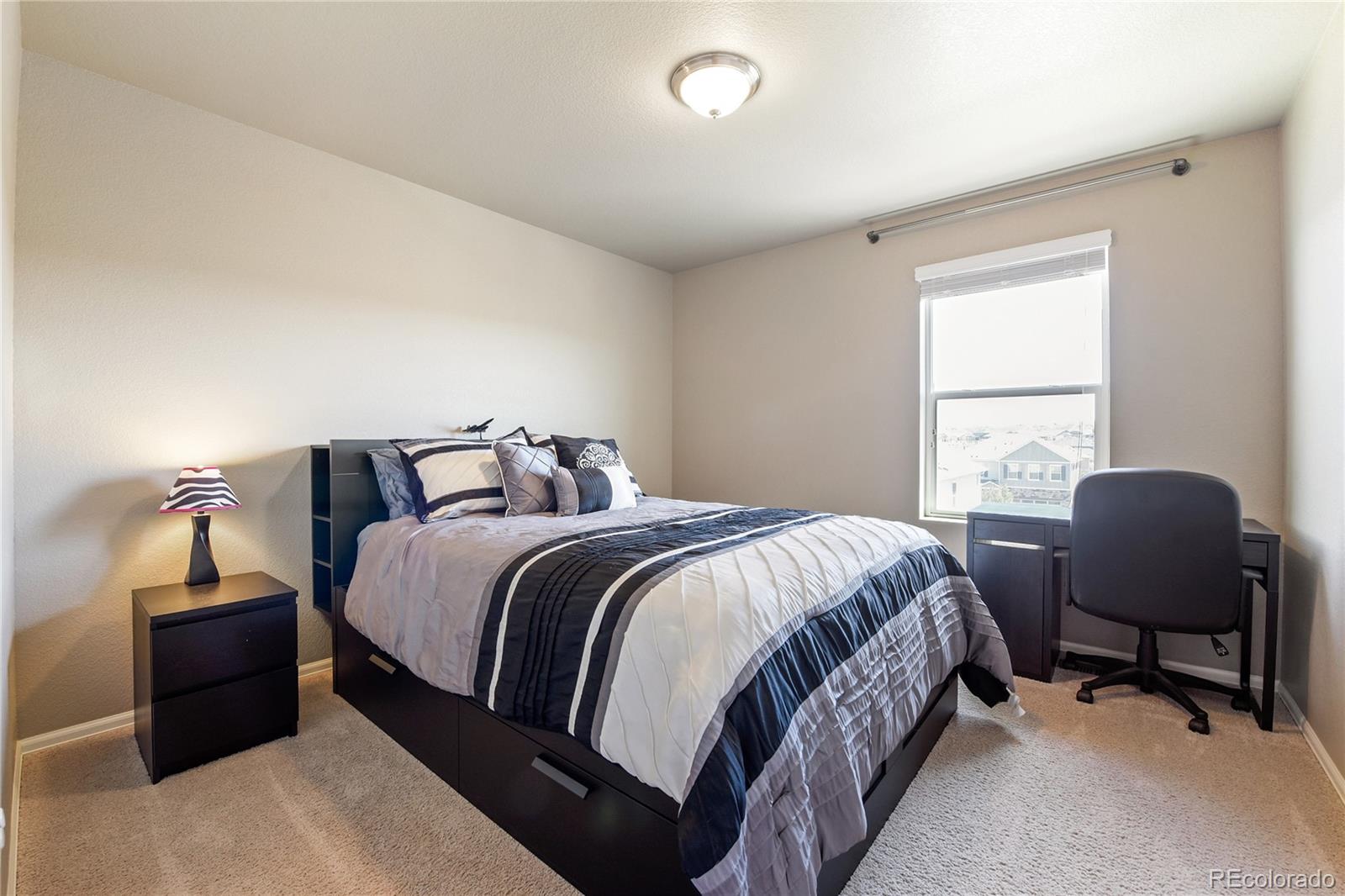MLS Image #18 for 5738  echo park circle,castle rock, Colorado