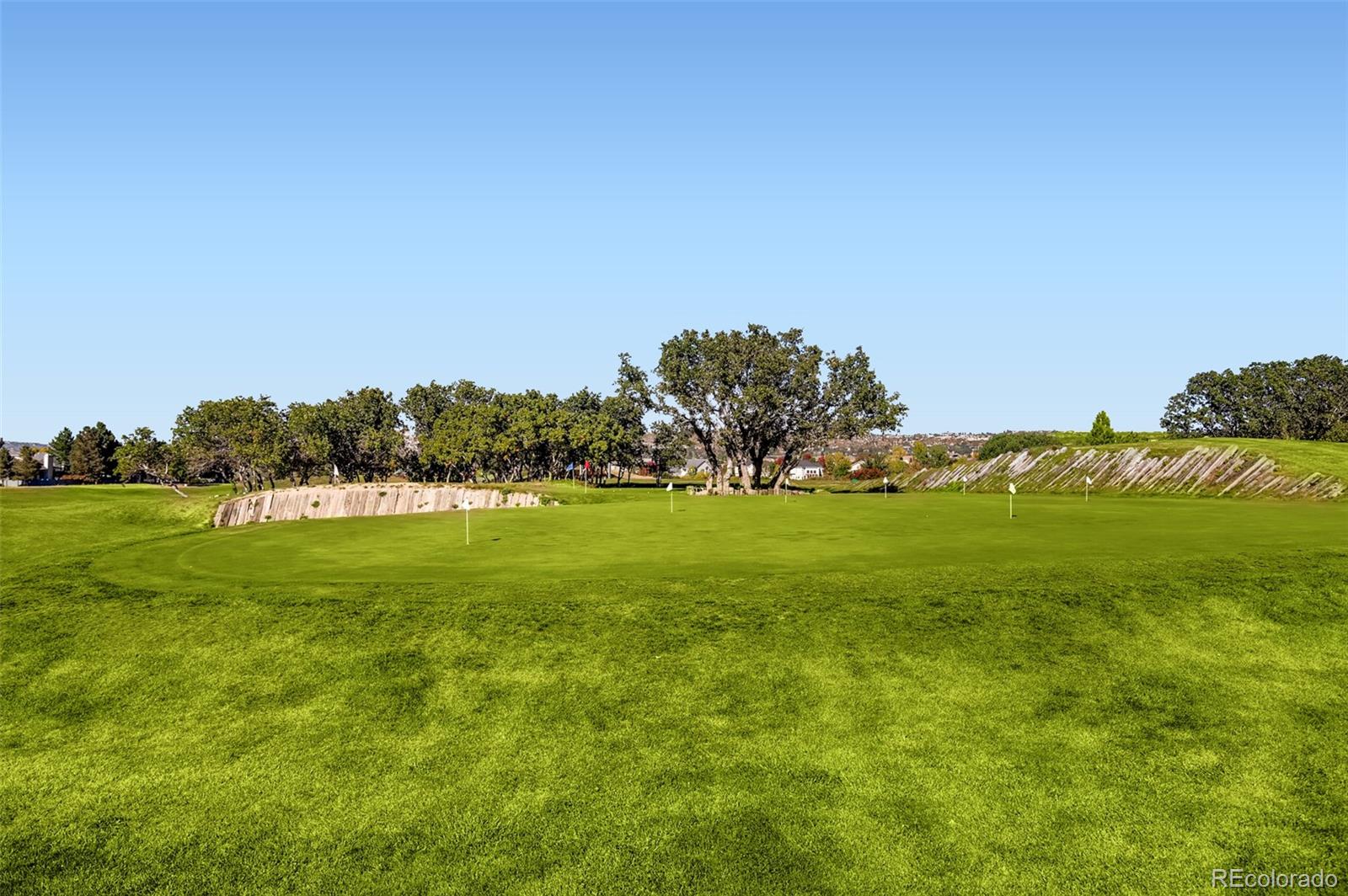 MLS Image #36 for 5738  echo park circle,castle rock, Colorado