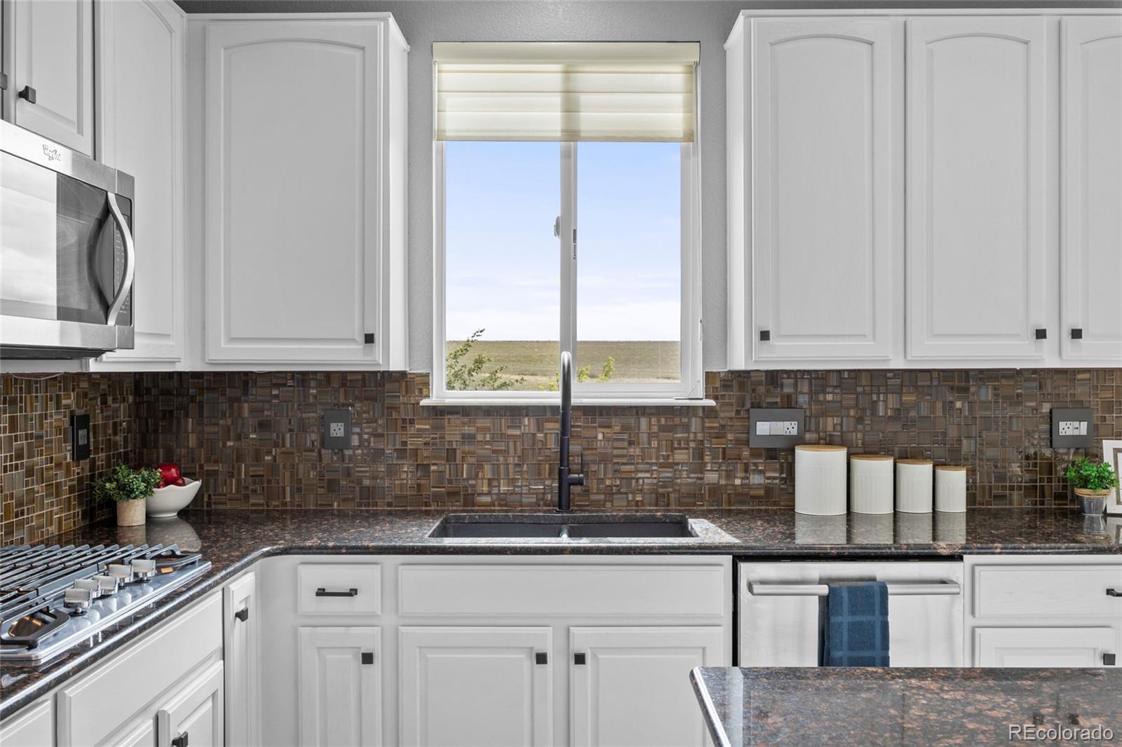 MLS Image #15 for 15690 e indian brook circle,parker, Colorado