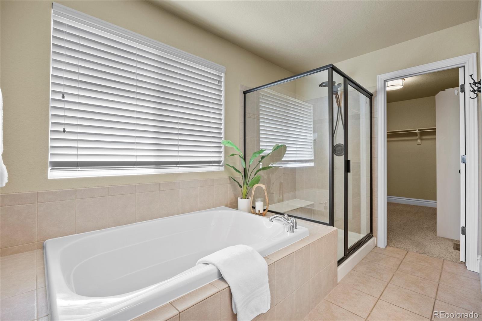 MLS Image #26 for 15690 e indian brook circle,parker, Colorado