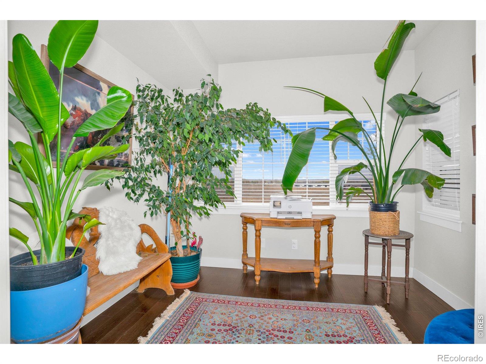 MLS Image #23 for 3903  le fever drive,fort collins, Colorado
