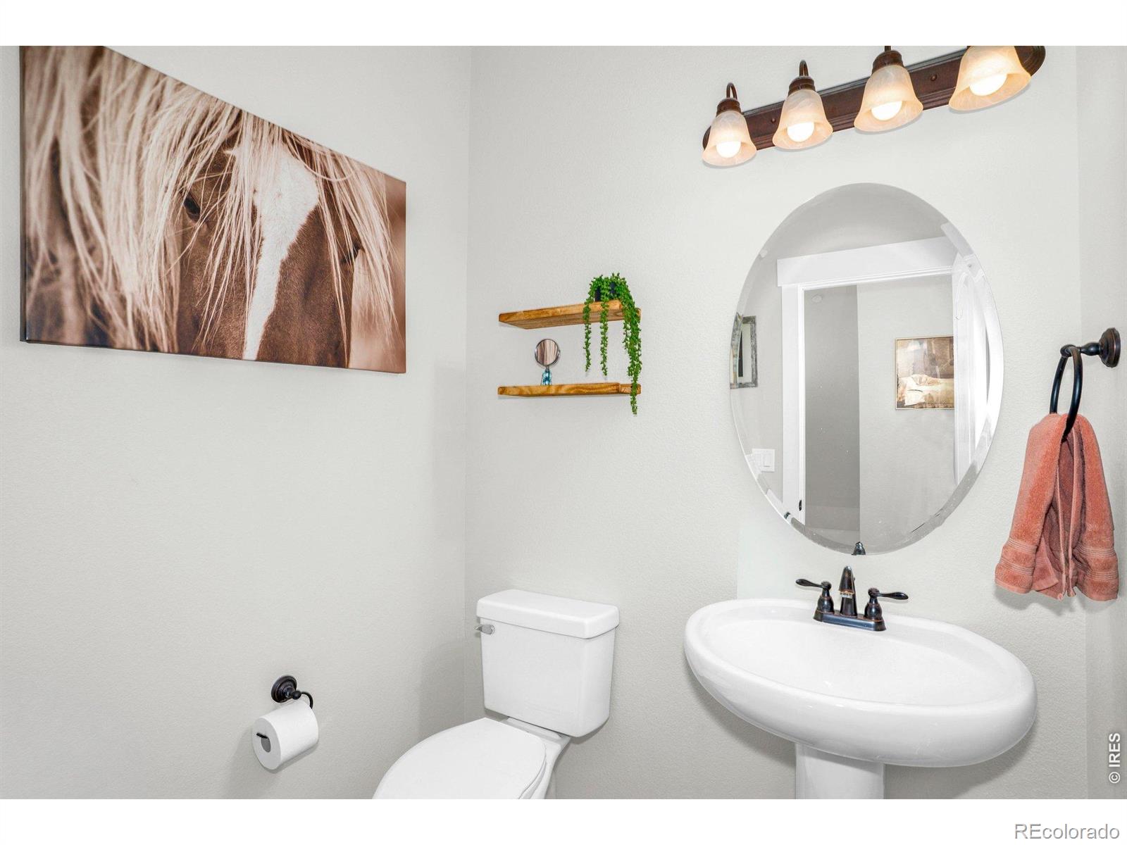 MLS Image #24 for 3903  le fever drive,fort collins, Colorado