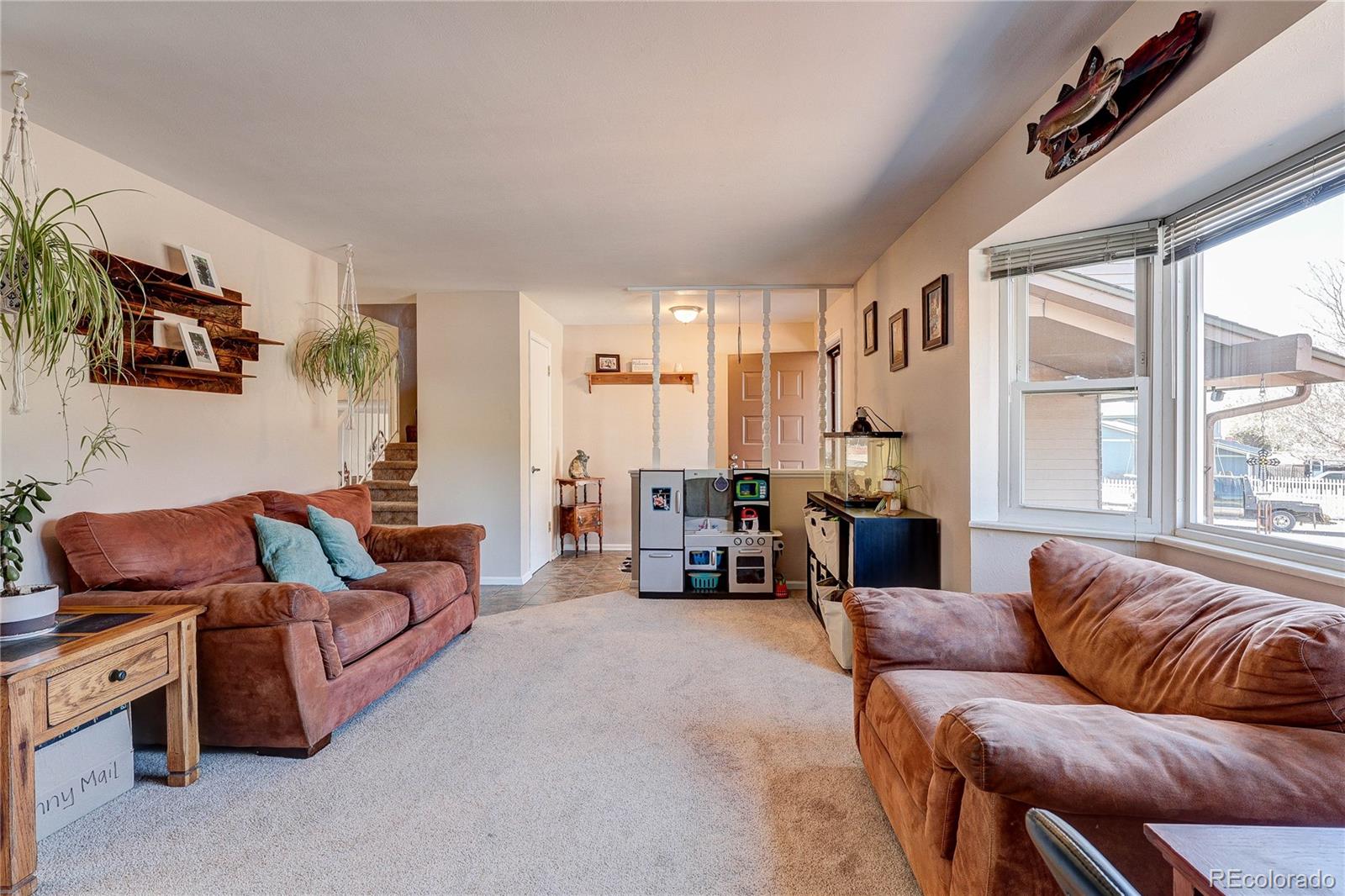 MLS Image #17 for 182  johnson drive,castle rock, Colorado