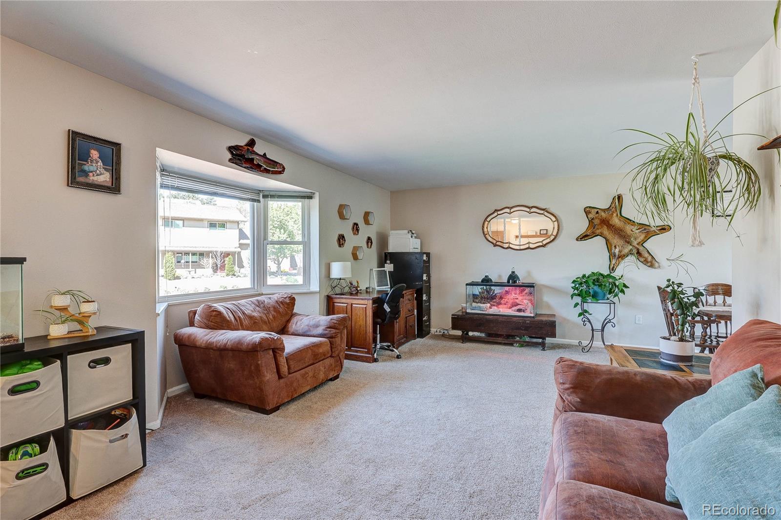 MLS Image #5 for 182  johnson drive,castle rock, Colorado