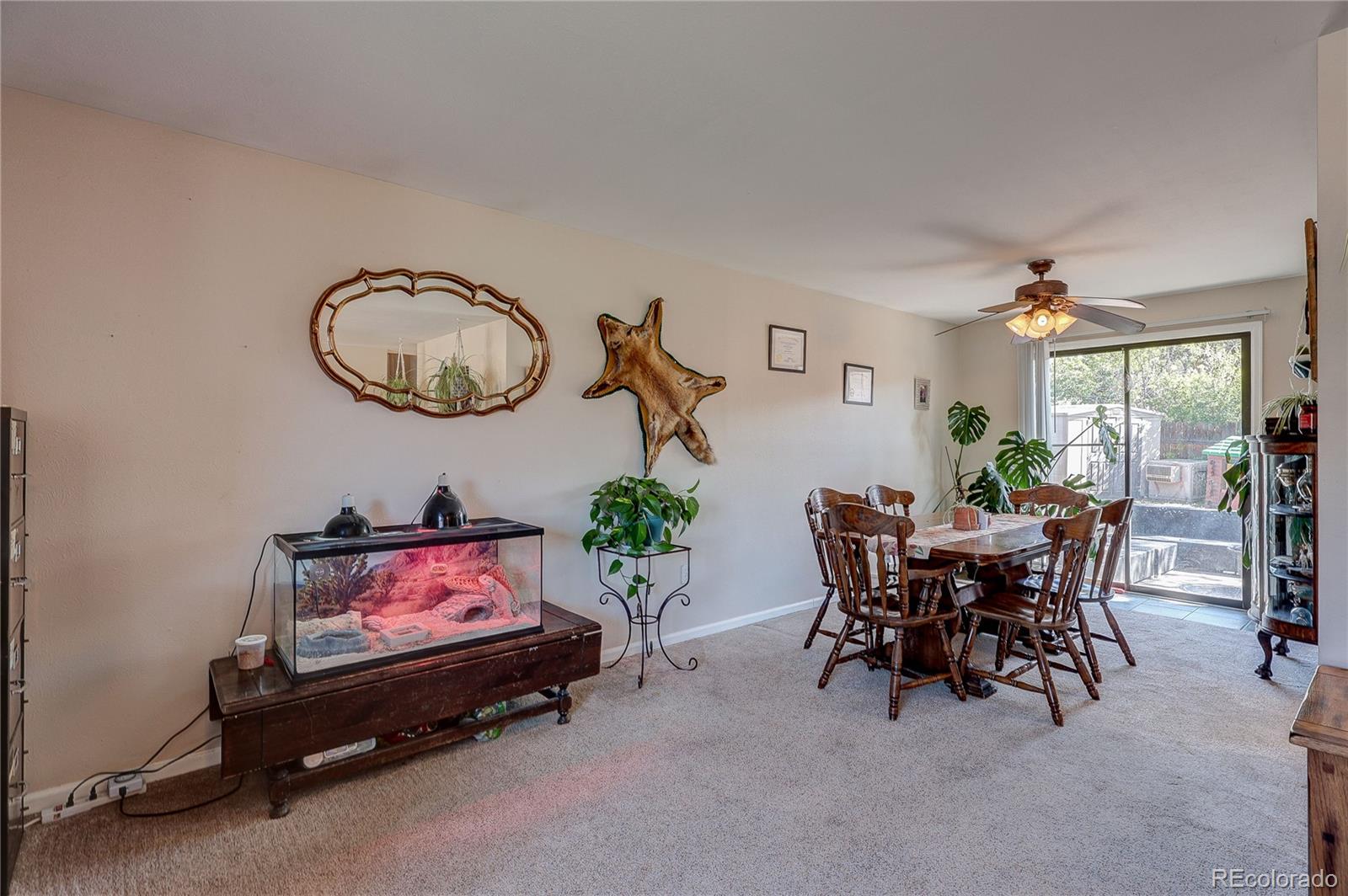 MLS Image #6 for 182  johnson drive,castle rock, Colorado