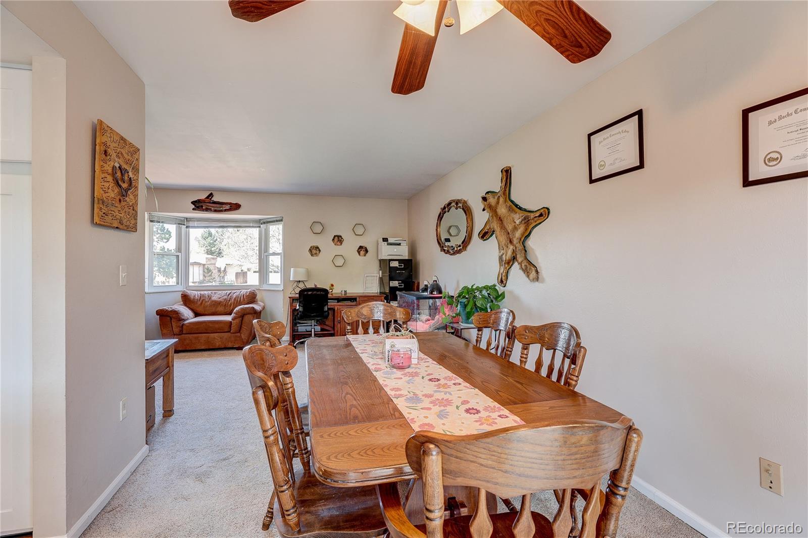 MLS Image #8 for 182  johnson drive,castle rock, Colorado