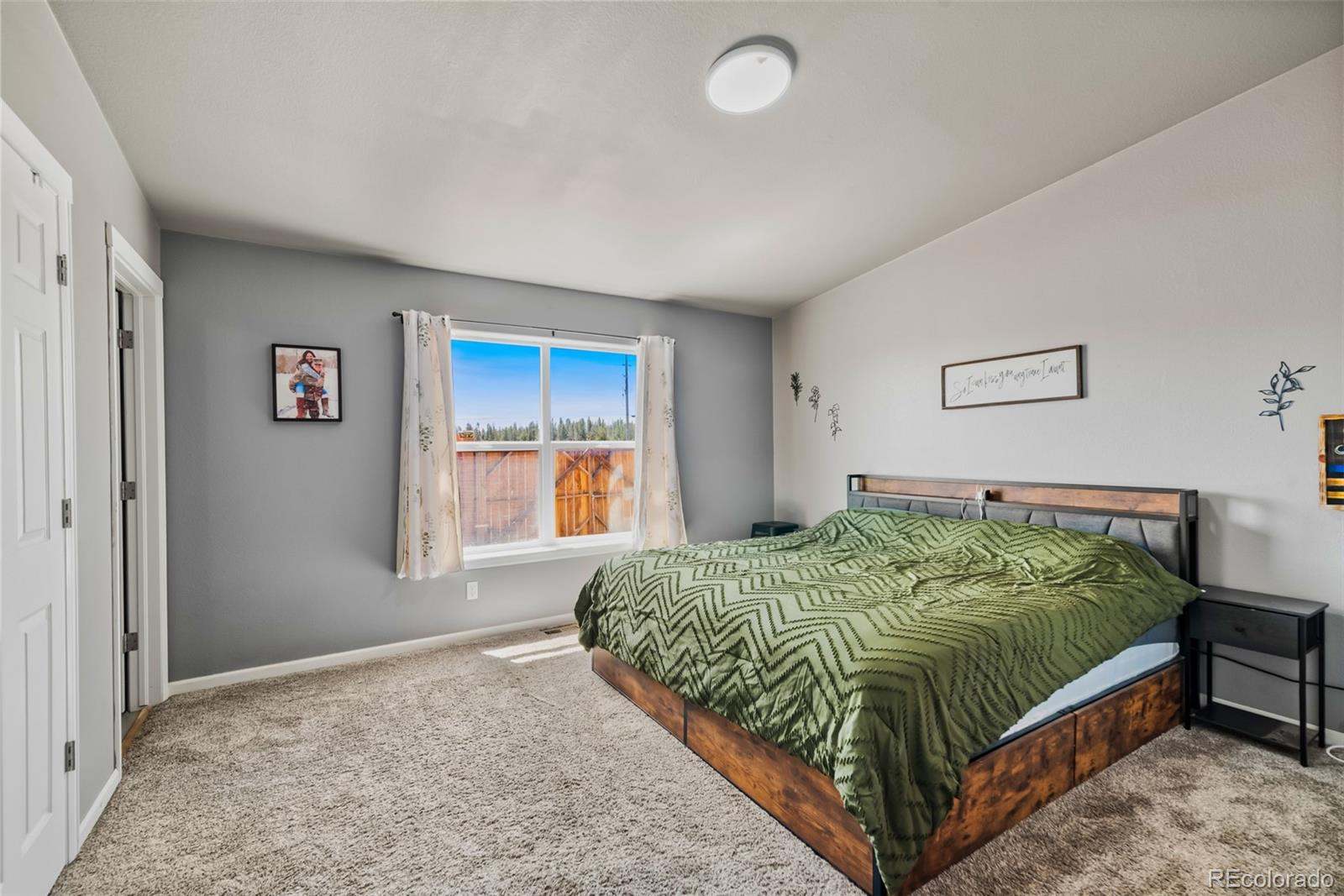 MLS Image #12 for 875  trout creek drive,fairplay, Colorado