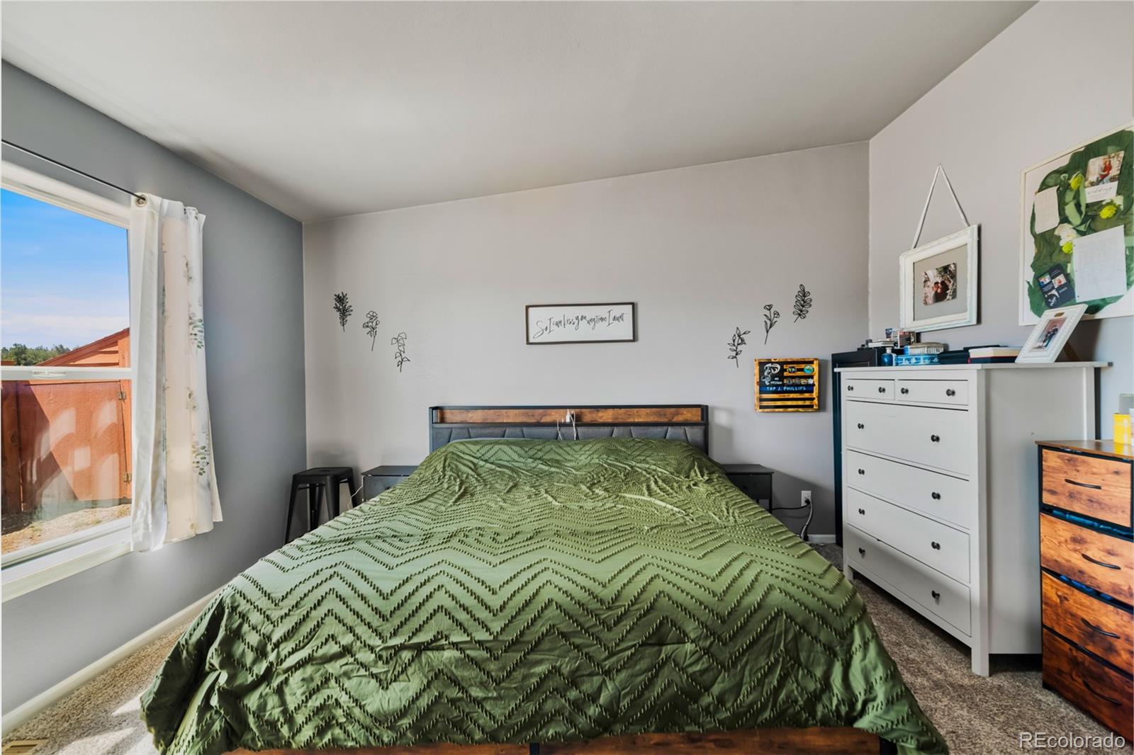 MLS Image #13 for 875  trout creek drive,fairplay, Colorado