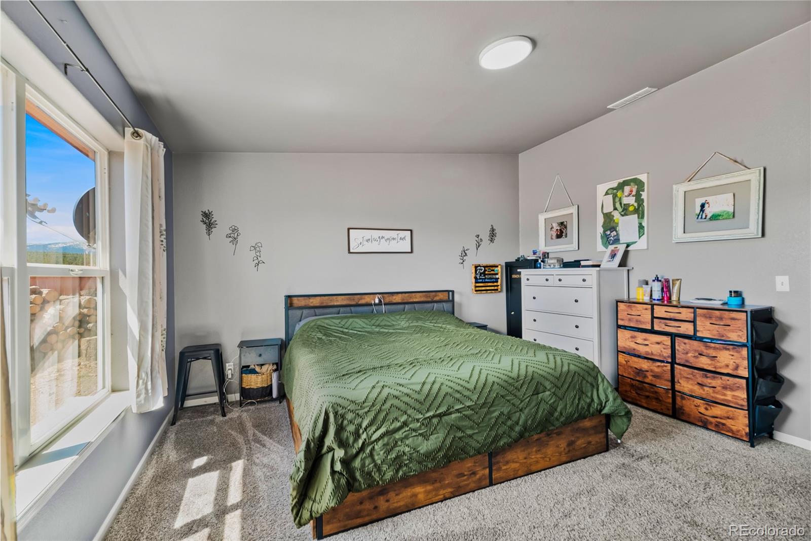 MLS Image #14 for 875  trout creek drive,fairplay, Colorado