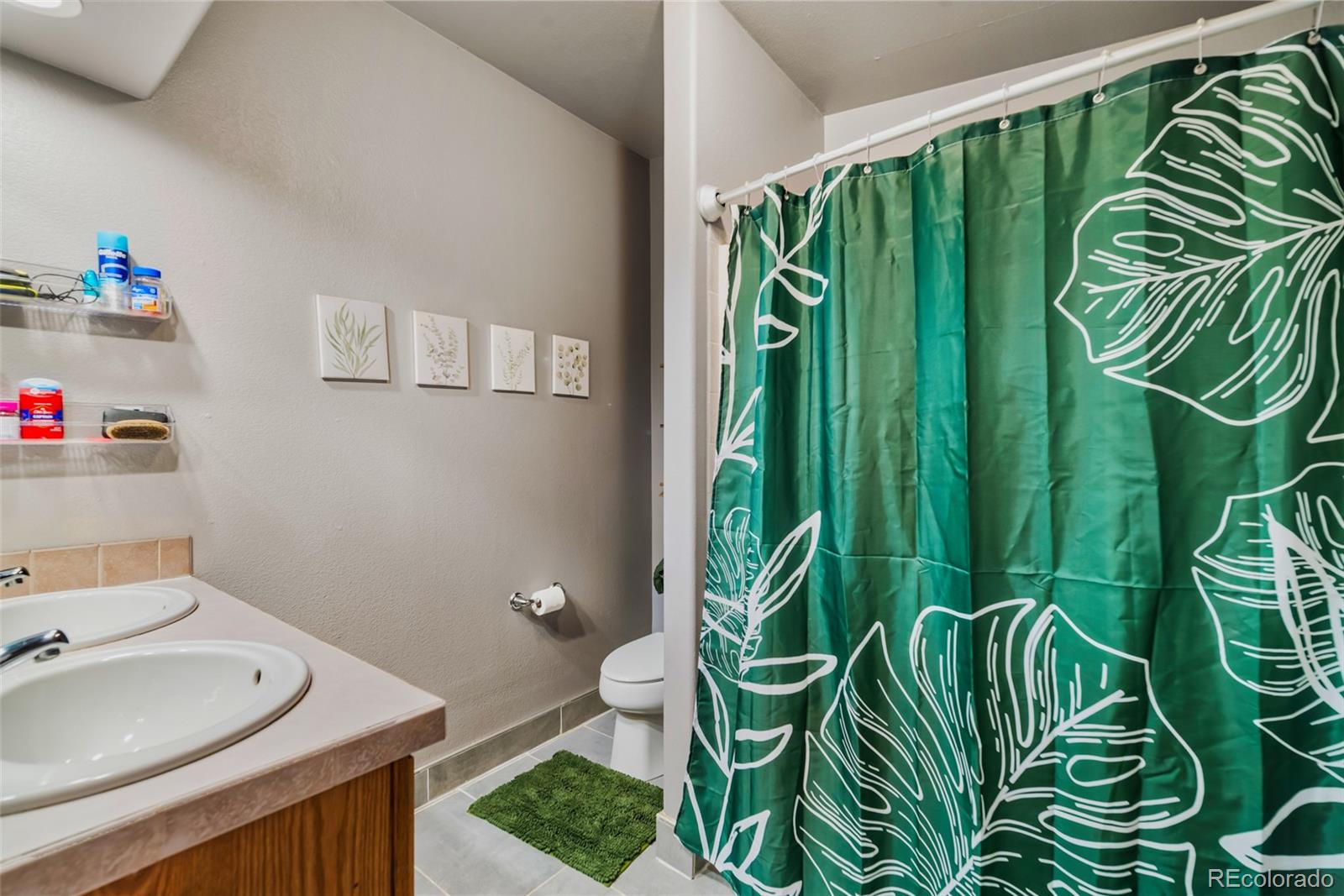 MLS Image #15 for 875  trout creek drive,fairplay, Colorado