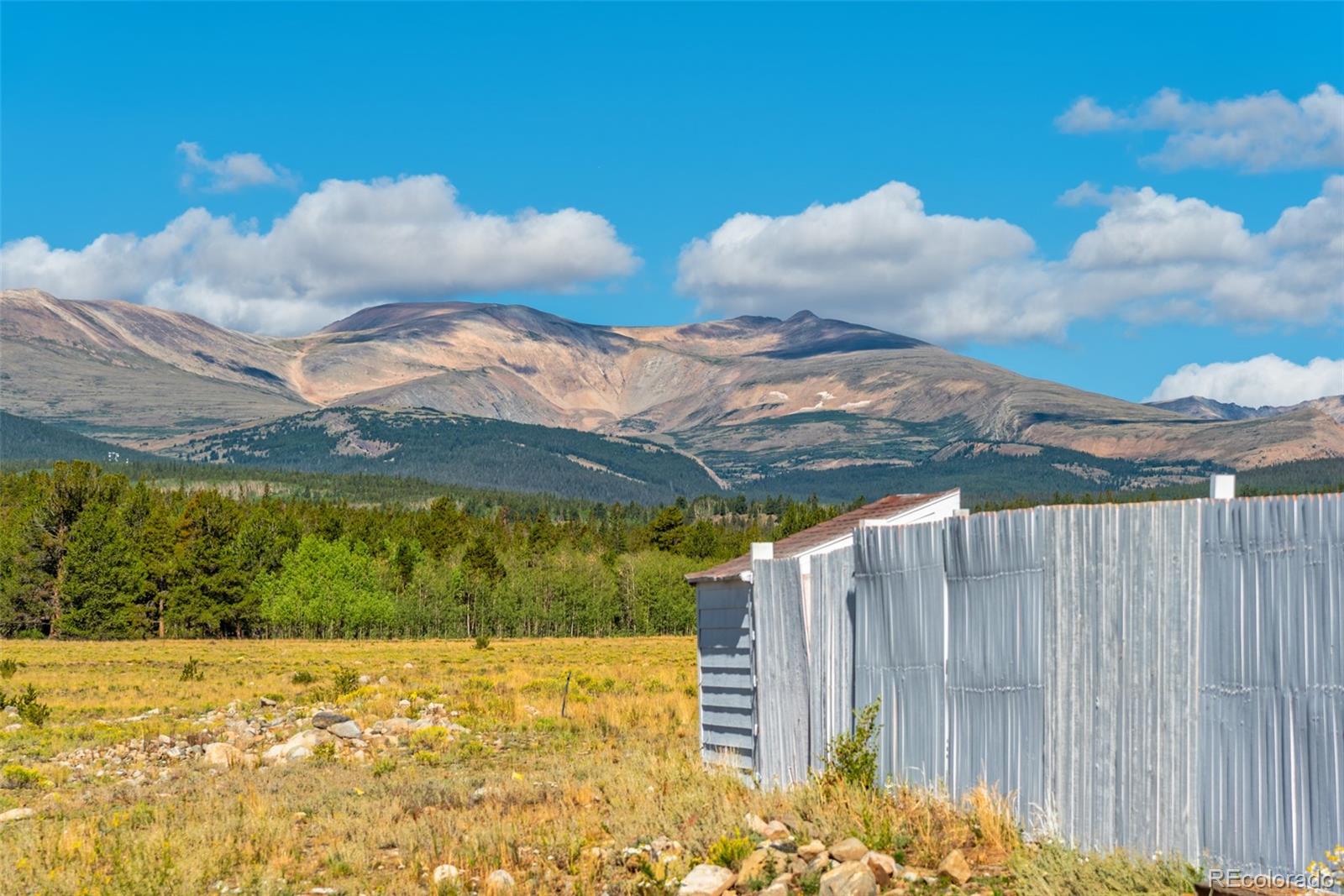 MLS Image #28 for 875  trout creek drive,fairplay, Colorado
