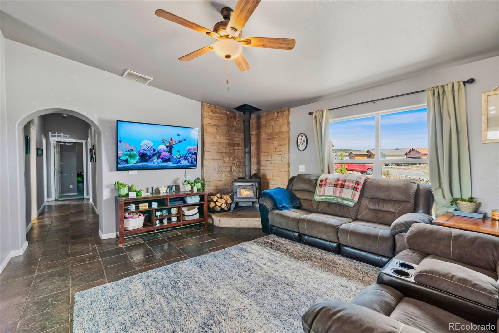 MLS Image #3 for 875  trout creek drive,fairplay, Colorado
