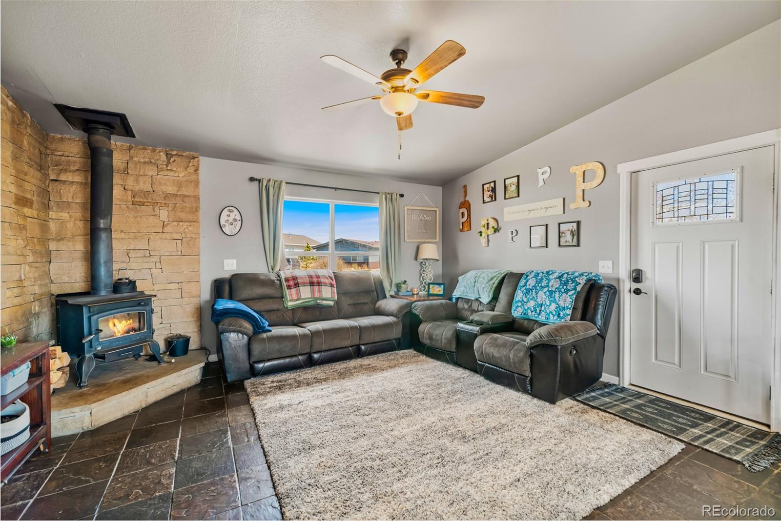 MLS Image #5 for 875  trout creek drive,fairplay, Colorado