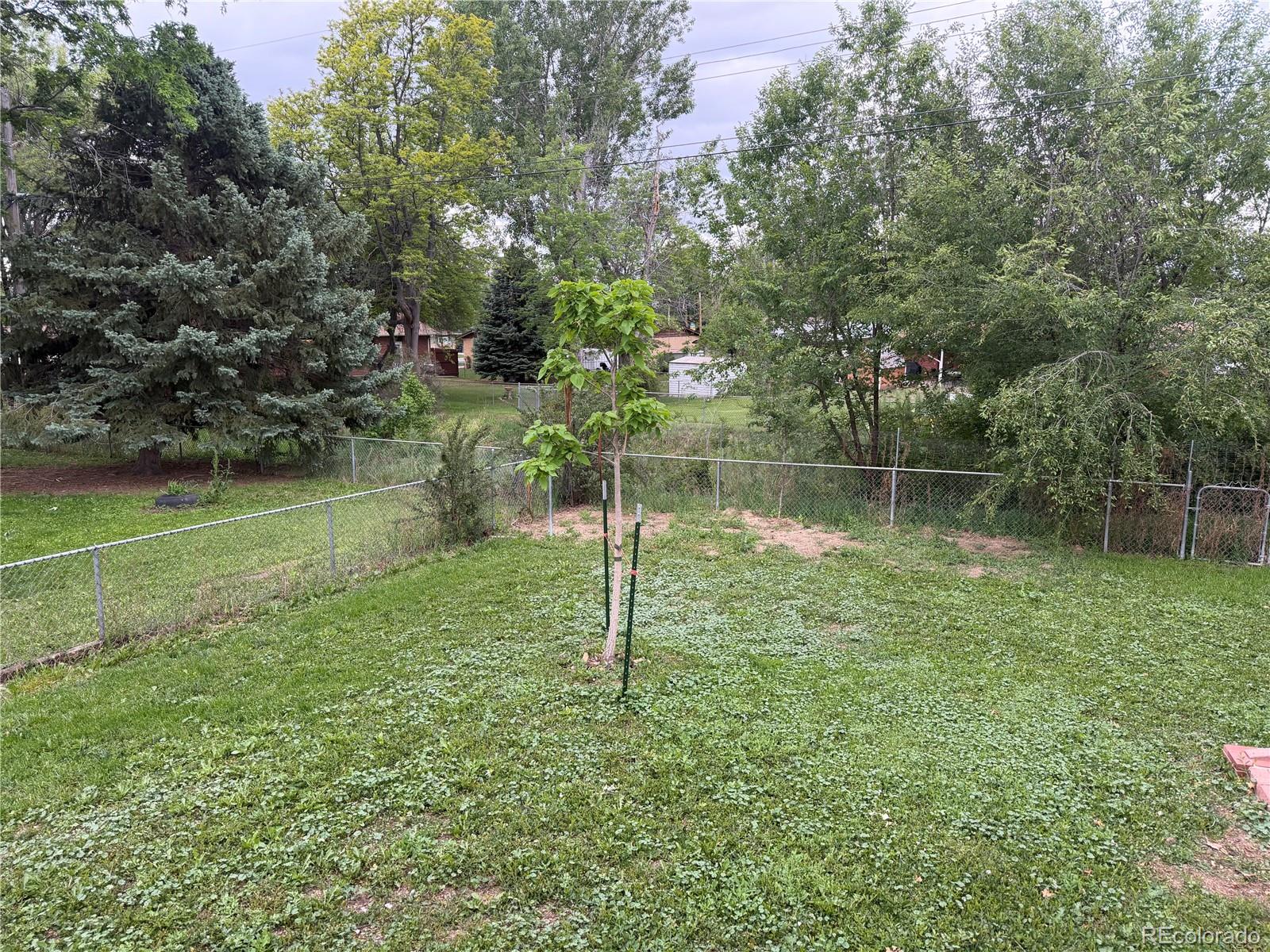 MLS Image #18 for 1521  lamplighter drive,longmont, Colorado