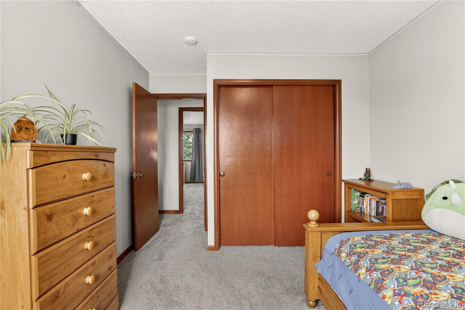 MLS Image #20 for 17229 e crestline avenue,centennial, Colorado