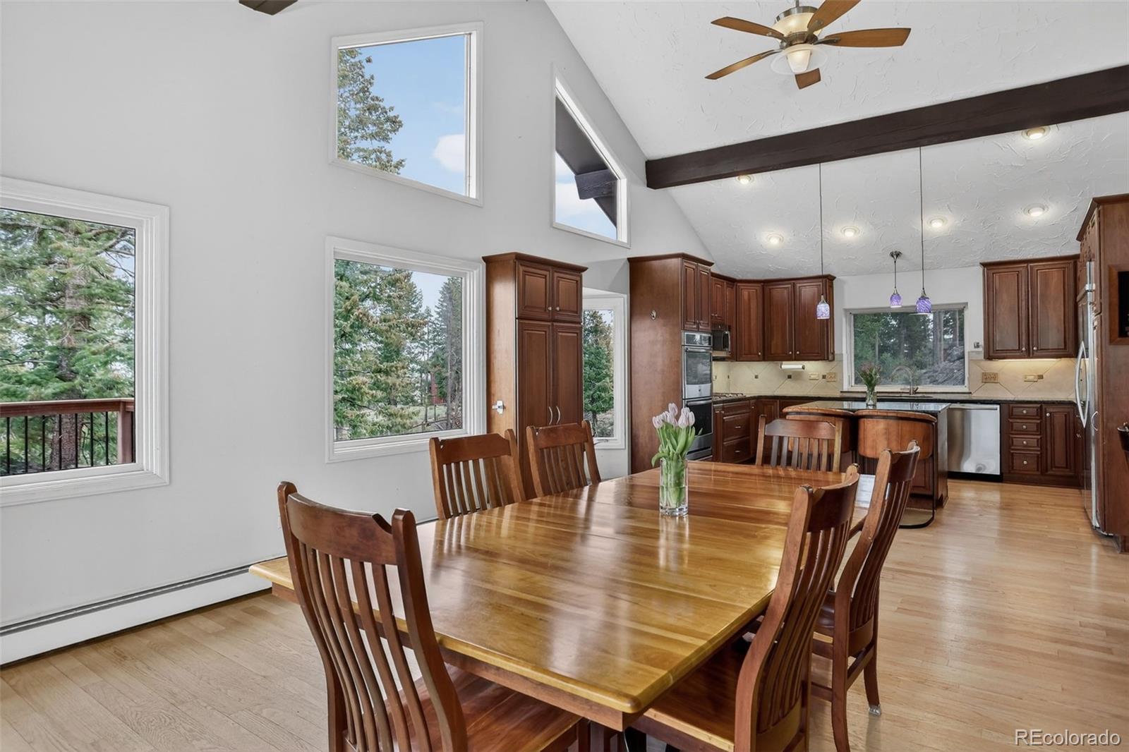 MLS Image #17 for 7765  swaps trail,evergreen, Colorado
