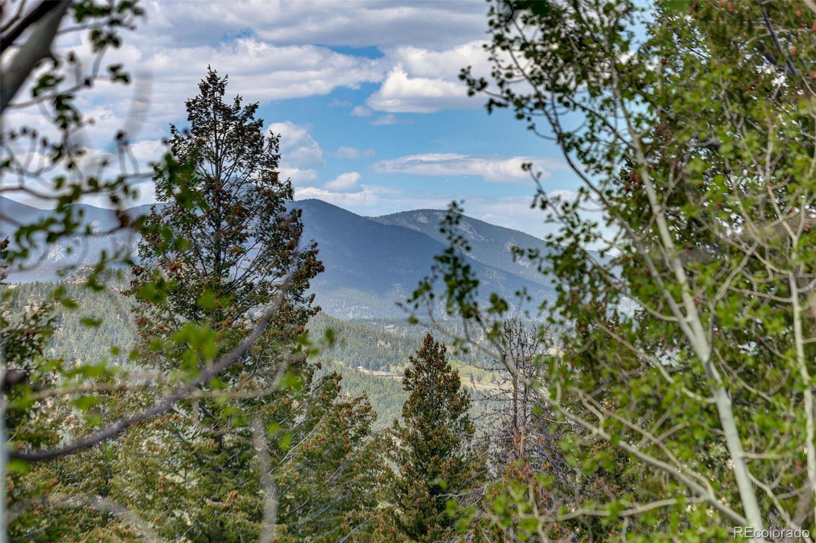 MLS Image #21 for 7765  swaps trail,evergreen, Colorado