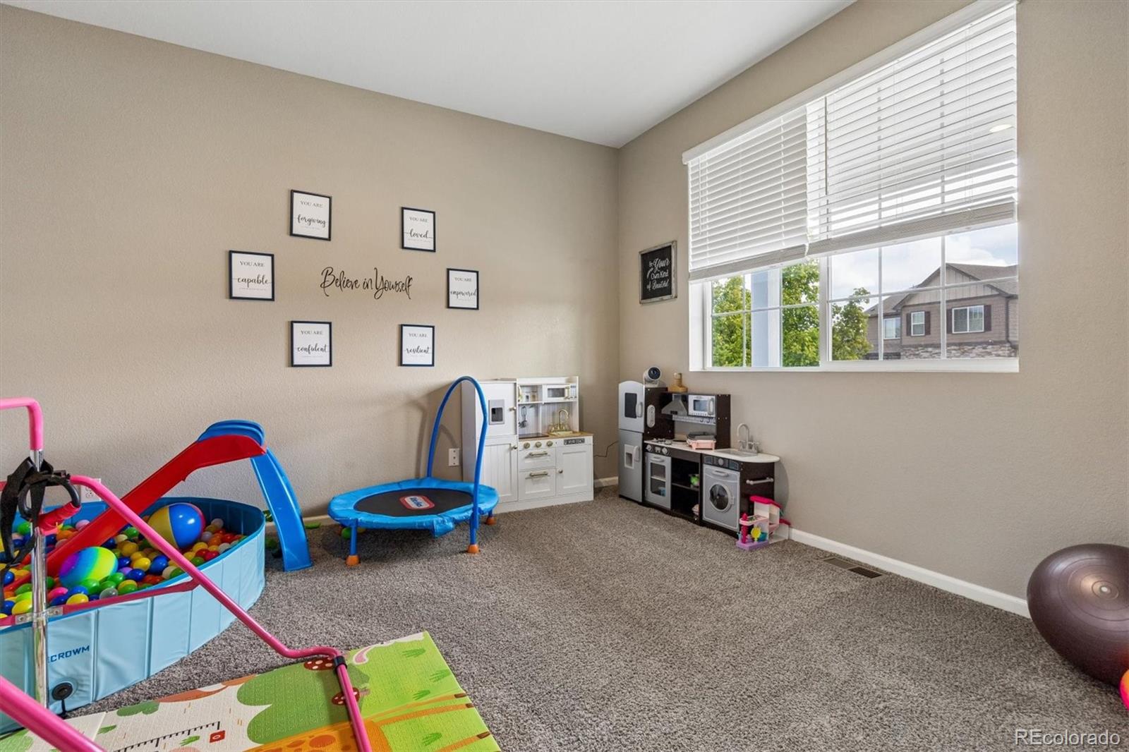 MLS Image #10 for 6031  plains end court,castle rock, Colorado