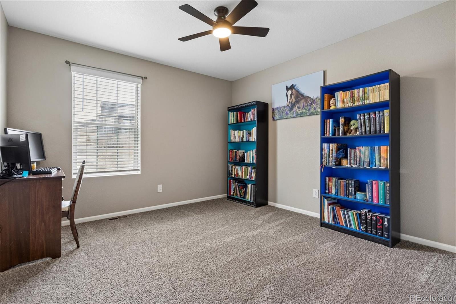 MLS Image #22 for 6031  plains end court,castle rock, Colorado
