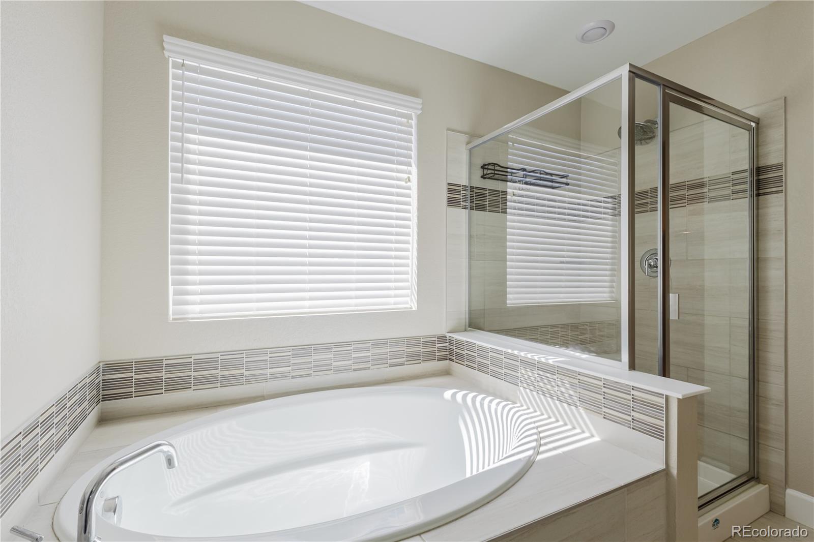 MLS Image #14 for 378  silver rock trail,castle rock, Colorado