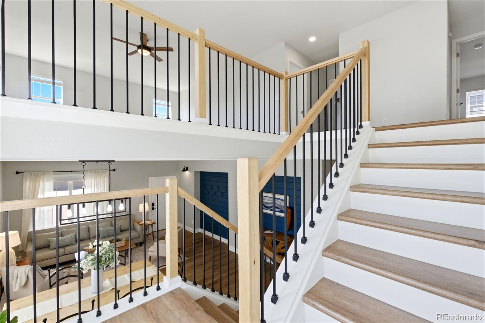MLS Image #22 for 7311  serena drive,castle pines, Colorado