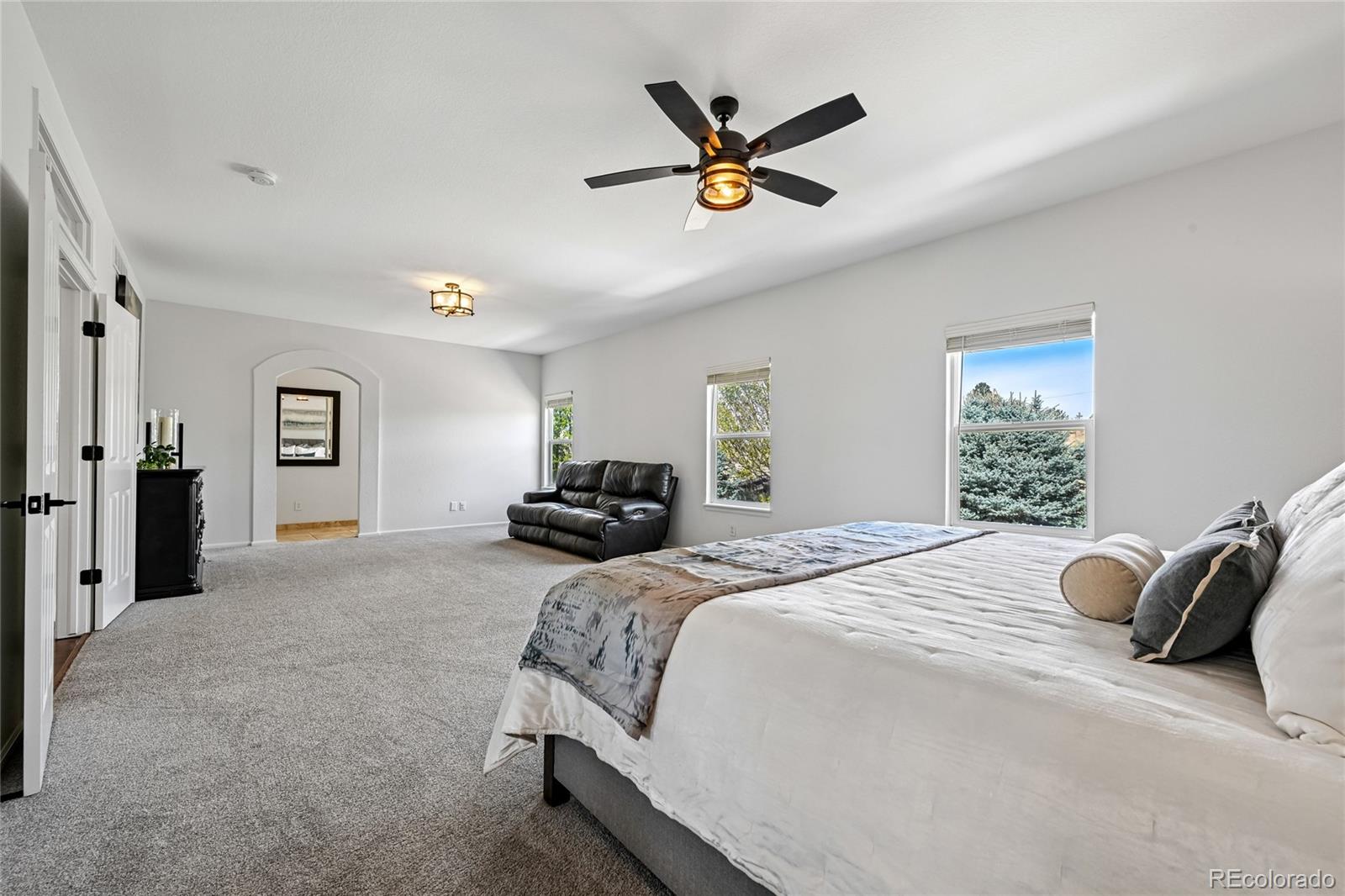 MLS Image #21 for 21665  mount elbert place,parker, Colorado
