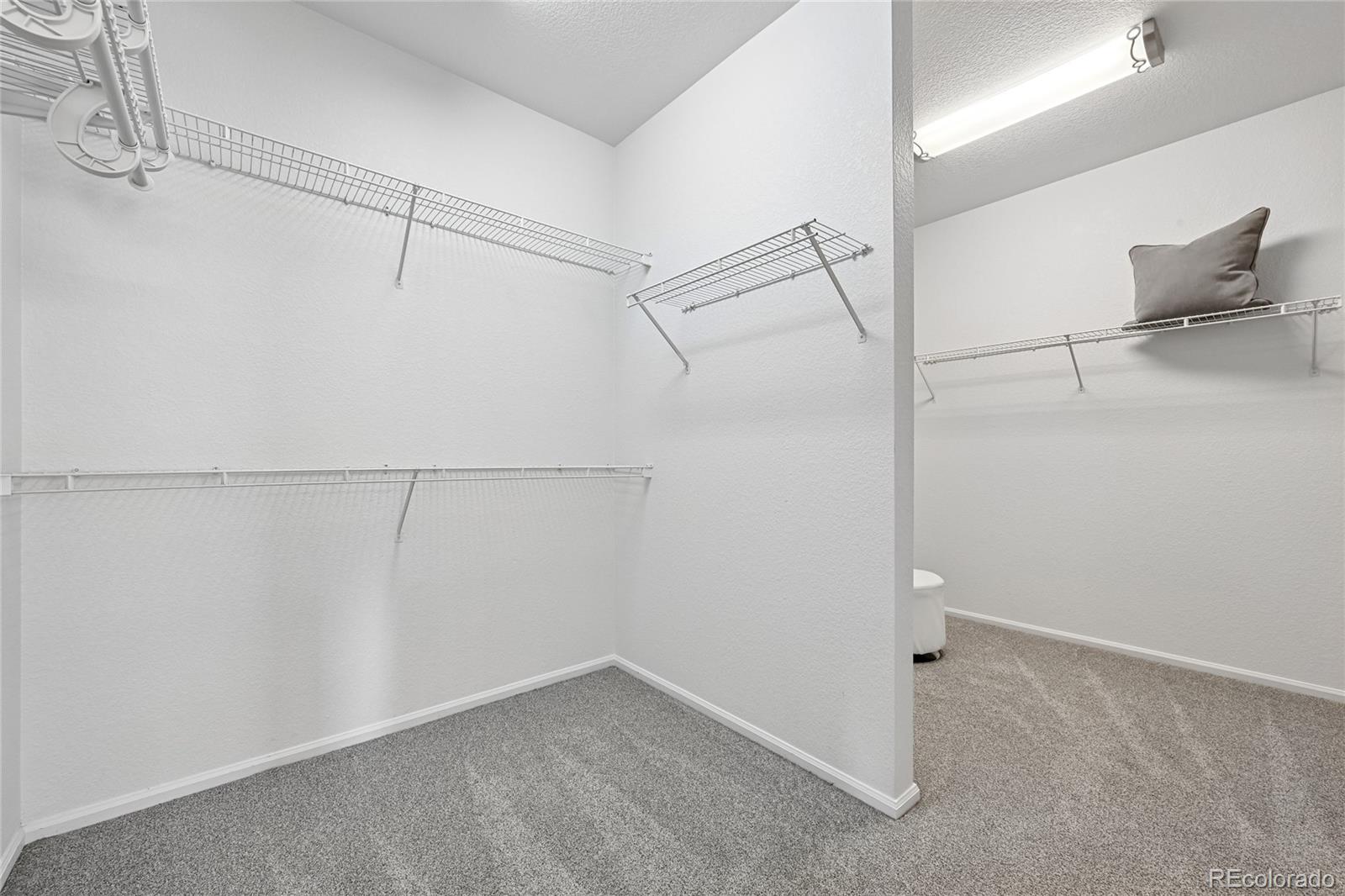 MLS Image #24 for 21665  mount elbert place,parker, Colorado