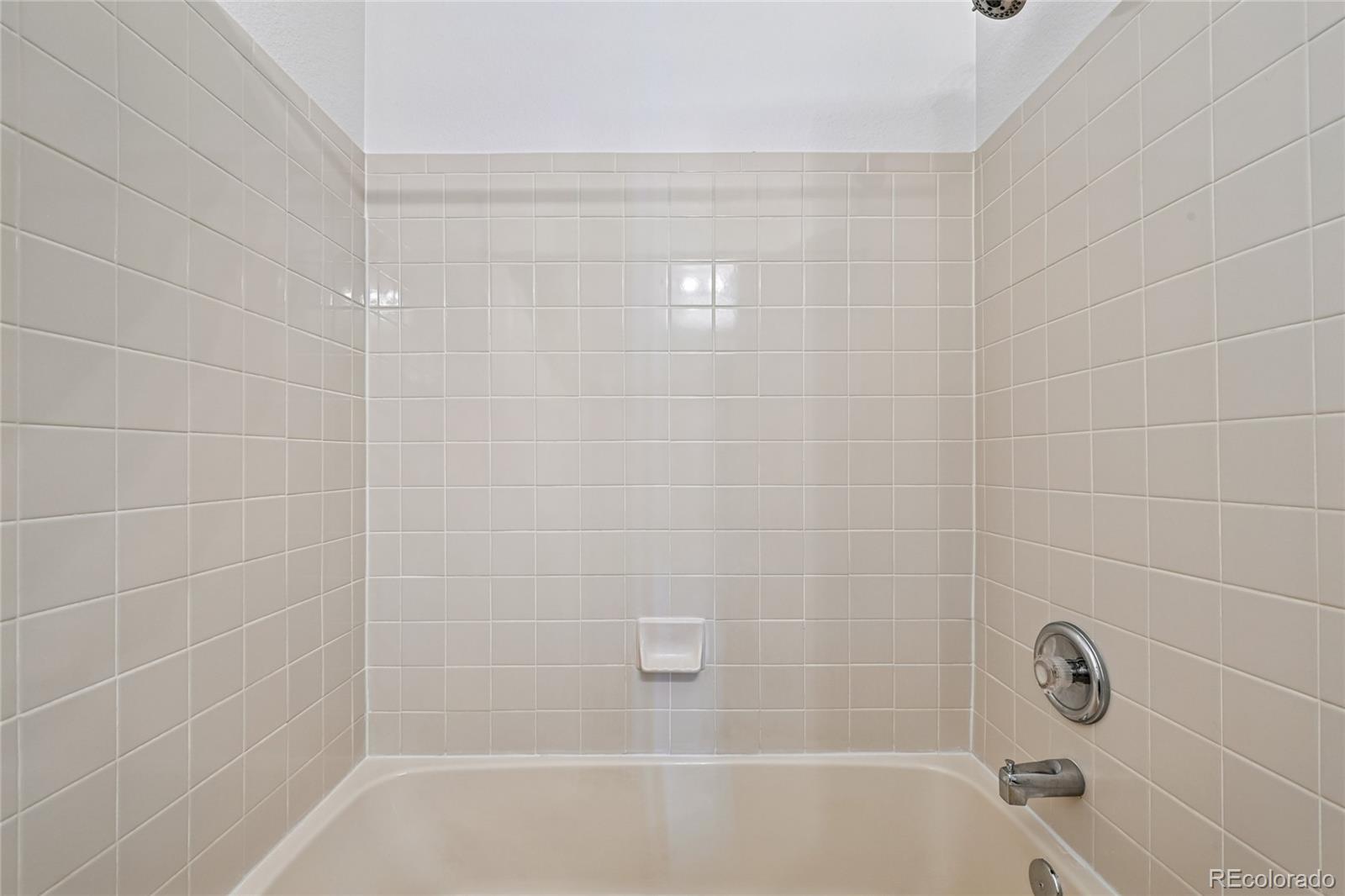 MLS Image #27 for 21665  mount elbert place,parker, Colorado