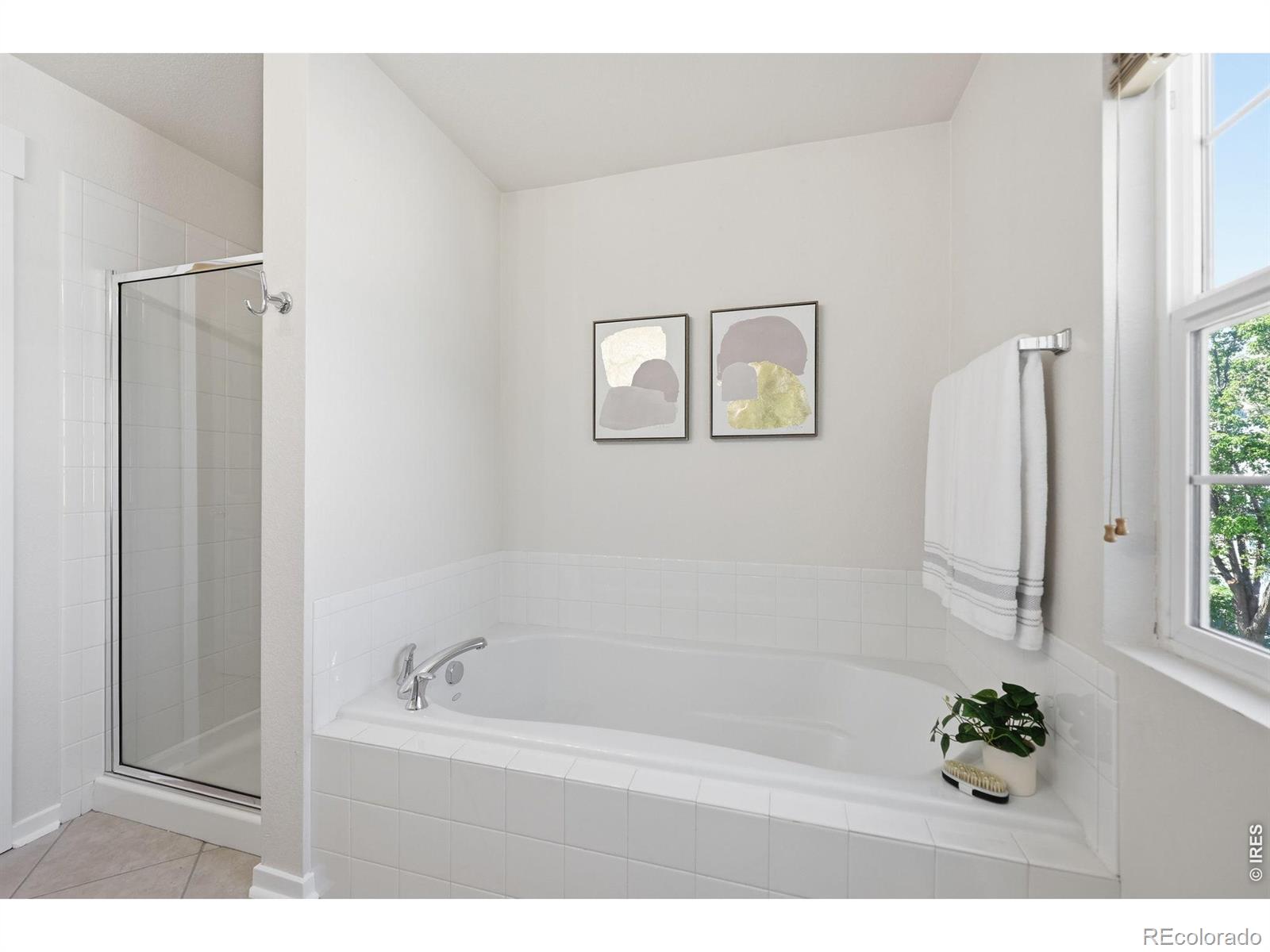 MLS Image #11 for 3800  red deer trail,broomfield, Colorado