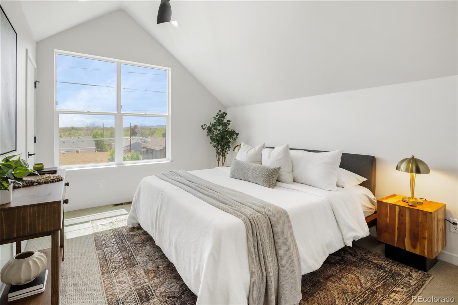 MLS Image #36 for 4827 w 10th avenue,denver, Colorado
