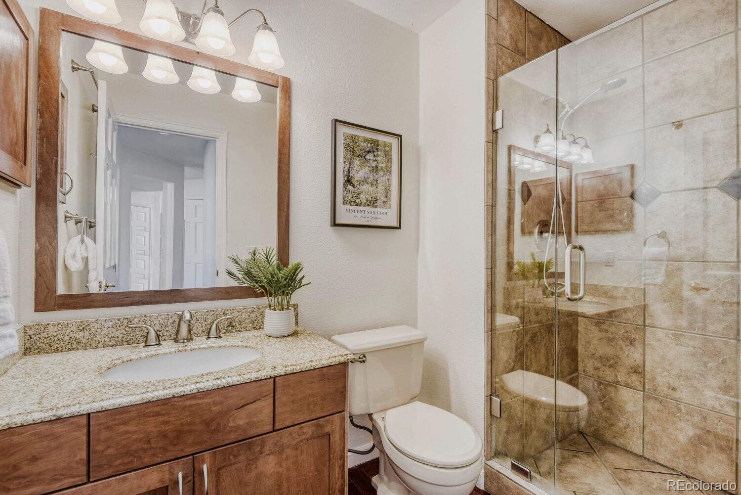MLS Image #20 for 2003  chesapeake lane,highlands ranch, Colorado
